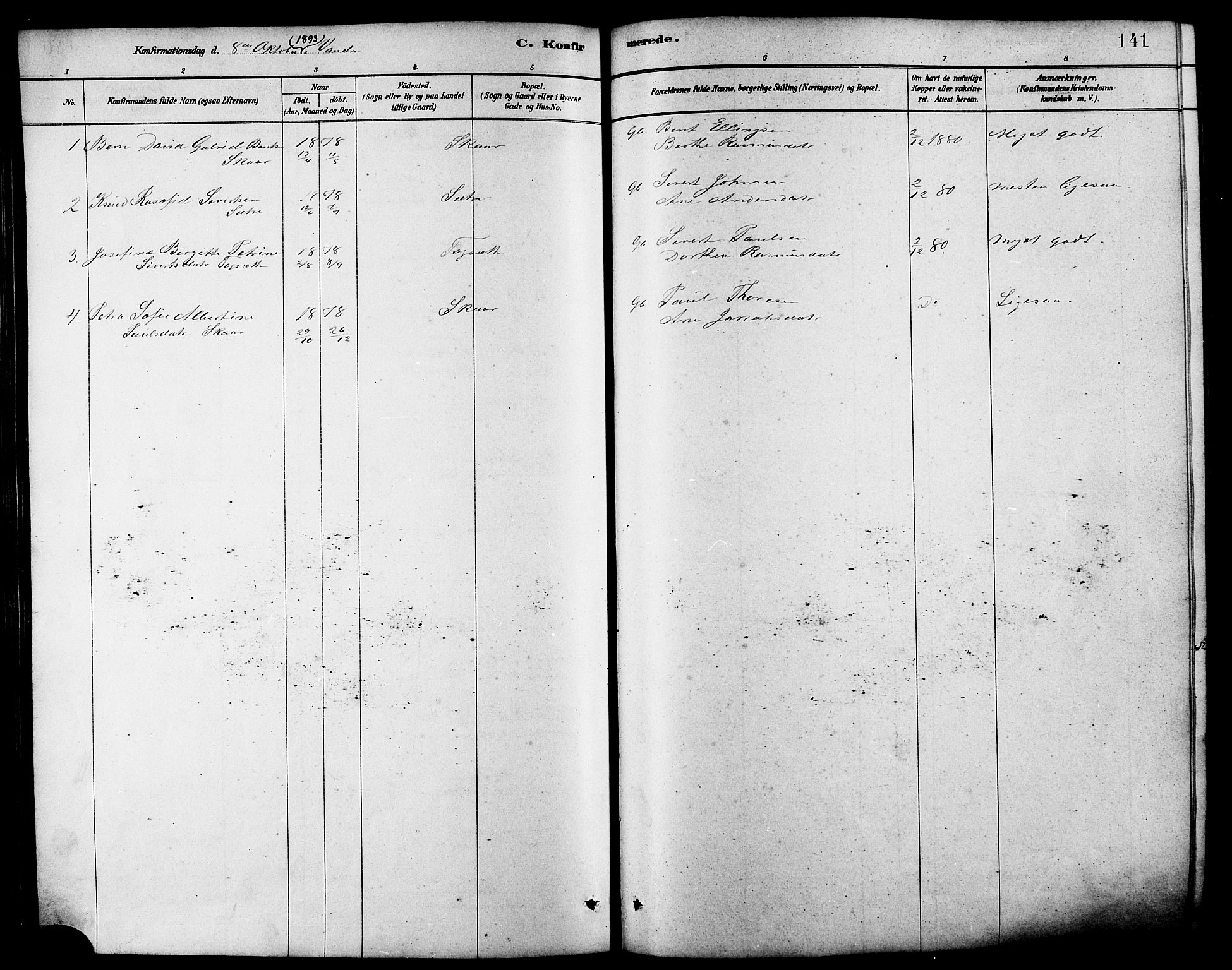 Ministerialprotokoller, klokkerbøker og fødselsregistre - Møre og Romsdal, AV/SAT-A-1454/502/L0027: Parish register (copy) no. 502C01, 1878-1908, p. 141