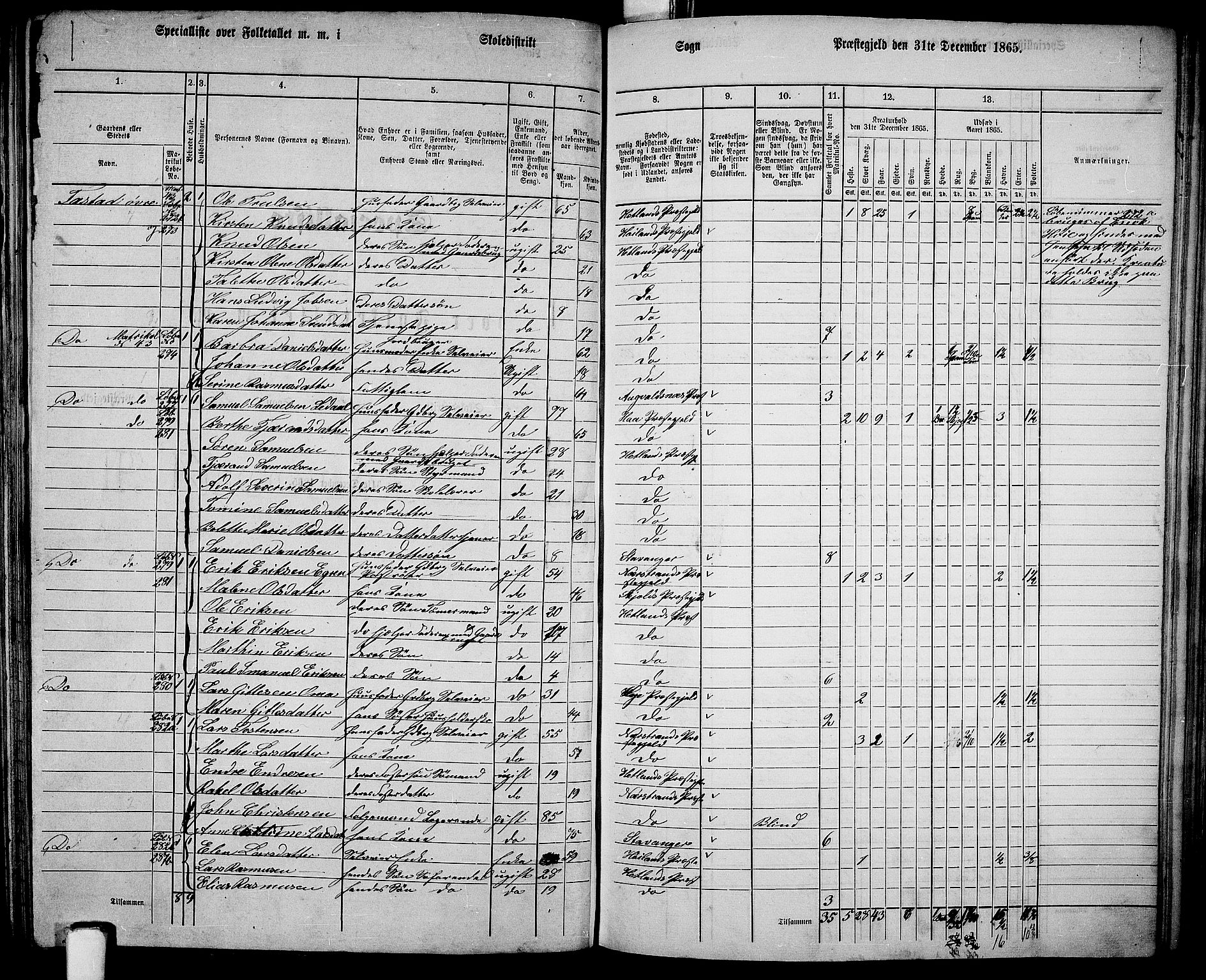 RA, 1865 census for Hetland, 1865, p. 154
