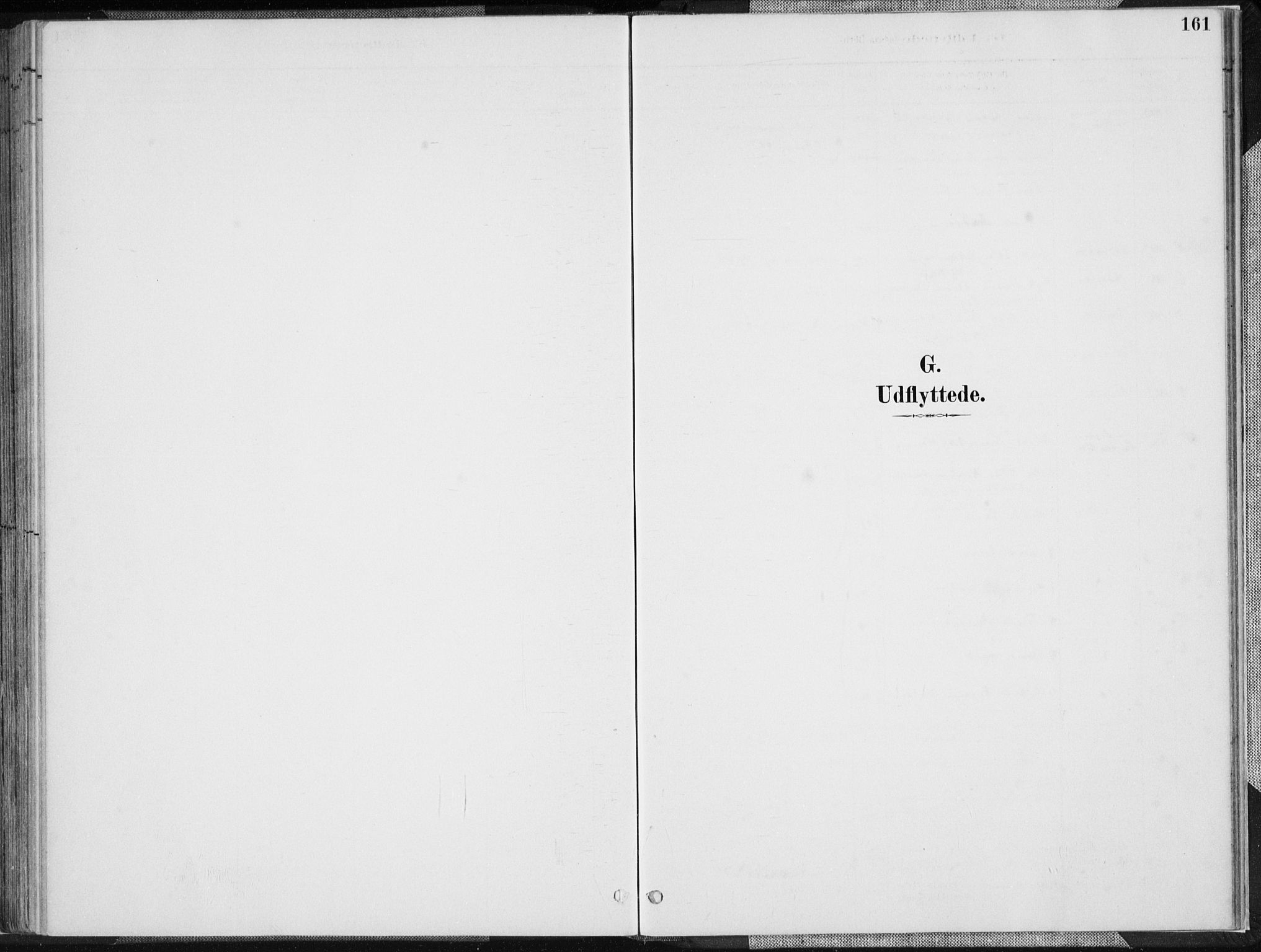 Herad sokneprestkontor, SAK/1111-0018/F/Fa/Faa/L0006: Parish register (official) no. A 6, 1887-1907, p. 161