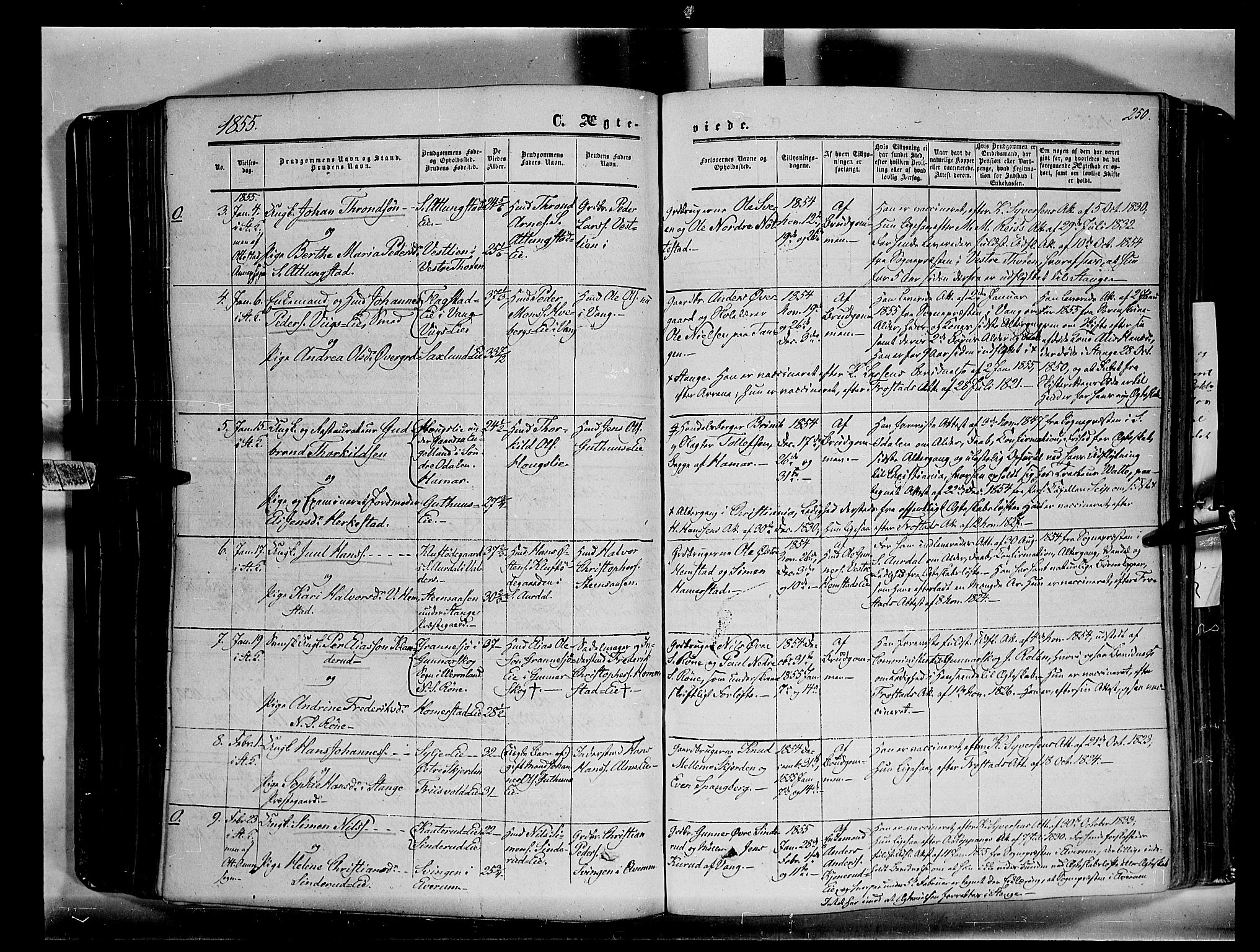 Stange prestekontor, SAH/PREST-002/K/L0012: Parish register (official) no. 12, 1852-1862, p. 250
