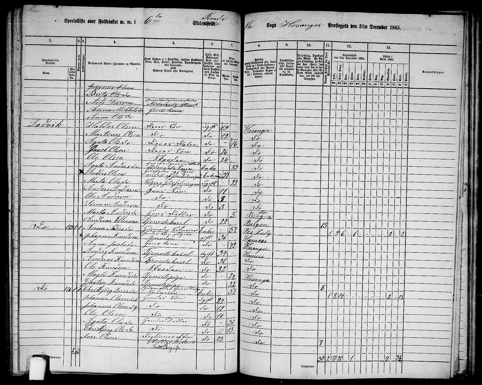 RA, 1865 census for Hosanger, 1865, p. 144