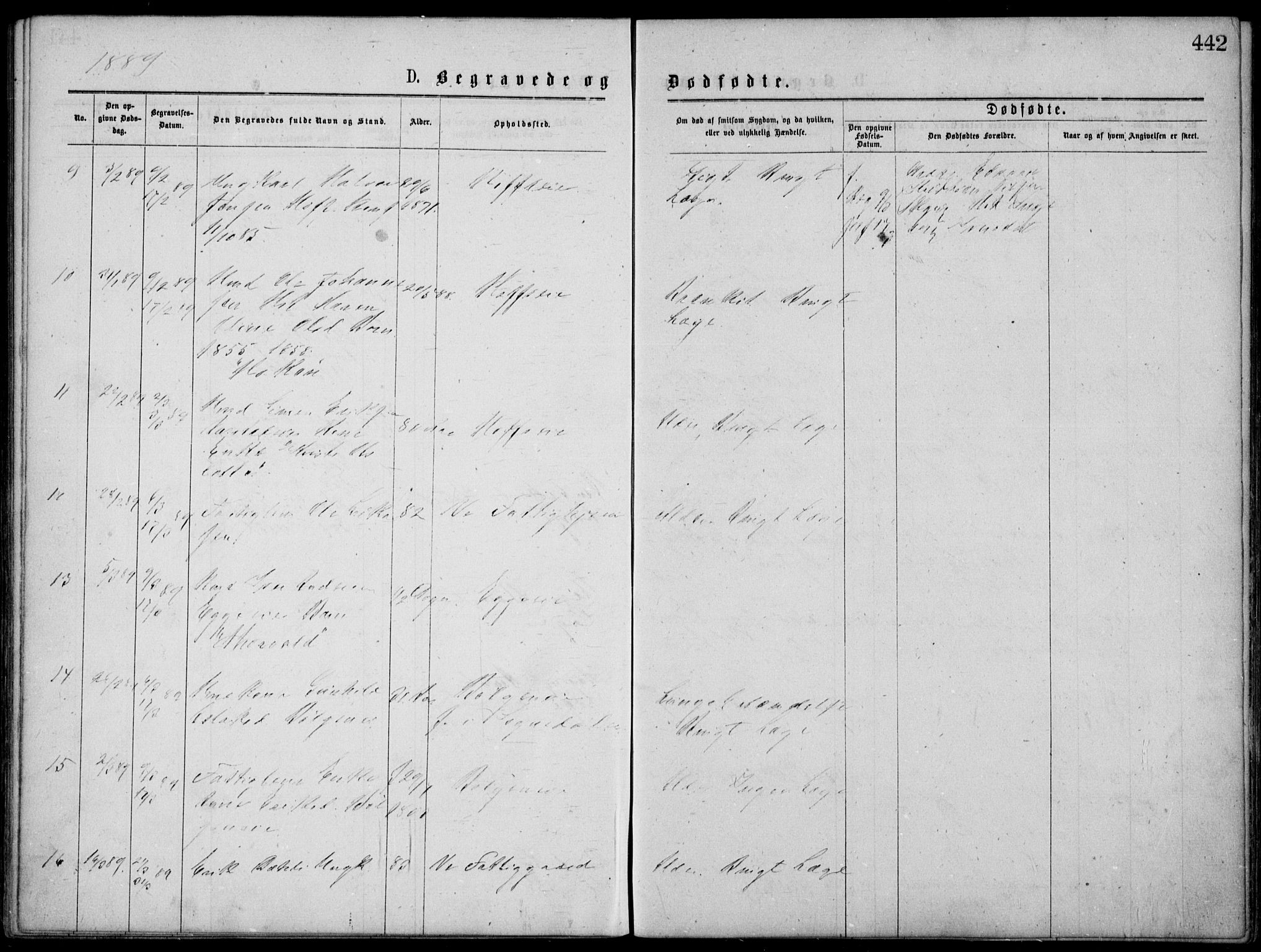 Norderhov kirkebøker, SAKO/A-237/G/Gb/L0001: Parish register (copy) no. II 1, 1876-1899, p. 442