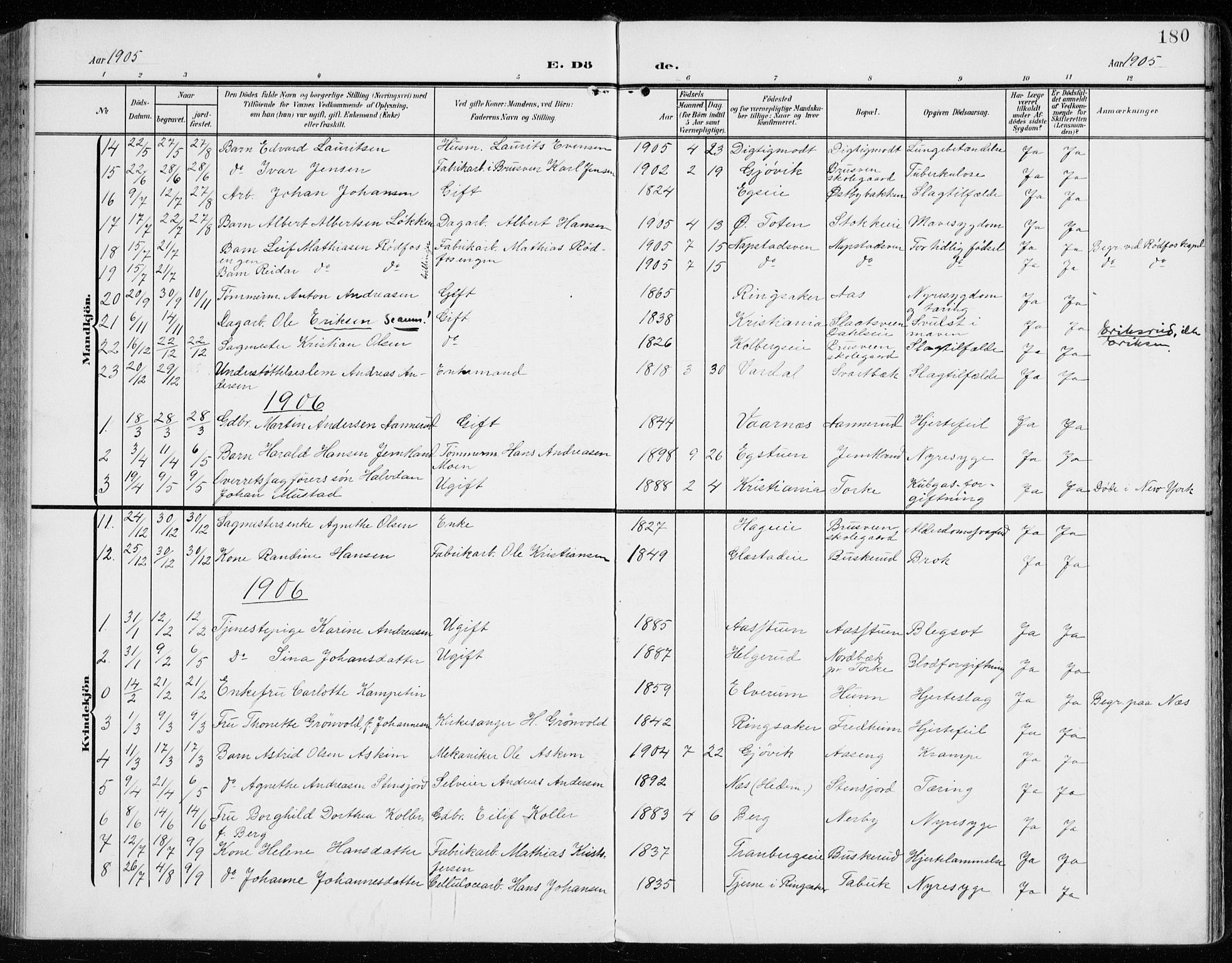 Vardal prestekontor, SAH/PREST-100/H/Ha/Haa/L0016: Parish register (official) no. 16, 1904-1916, p. 180