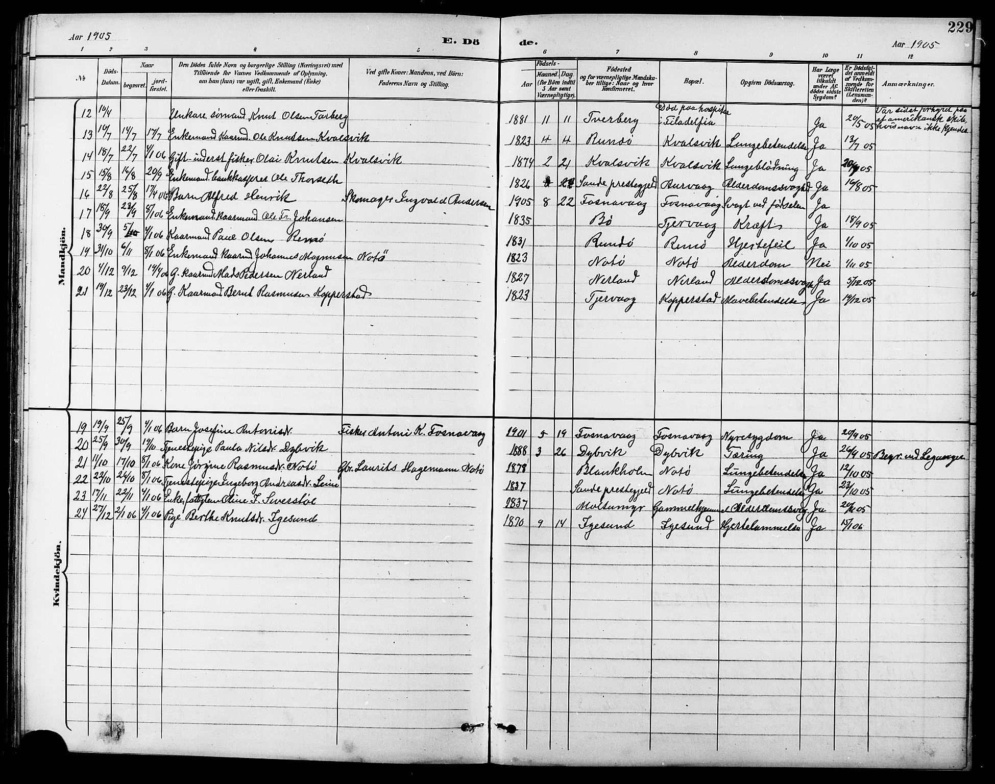 Ministerialprotokoller, klokkerbøker og fødselsregistre - Møre og Romsdal, AV/SAT-A-1454/507/L0082: Parish register (copy) no. 507C05, 1896-1914, p. 229