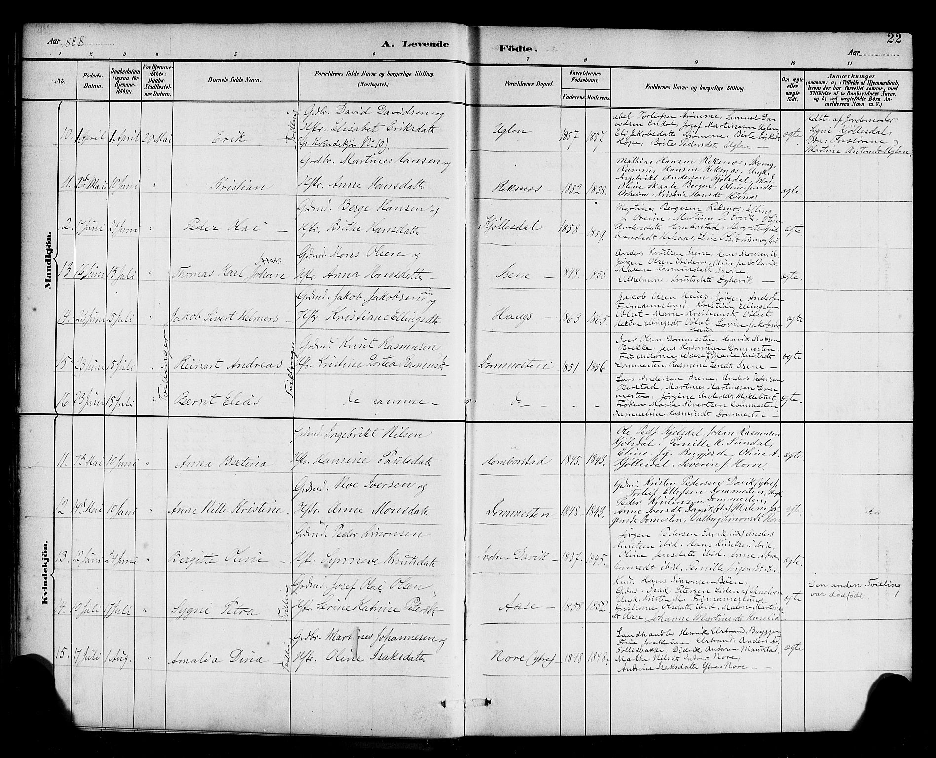 Davik sokneprestembete, AV/SAB-A-79701/H/Haa/Haab/L0001: Parish register (official) no. B 1, 1882-1900, p. 22