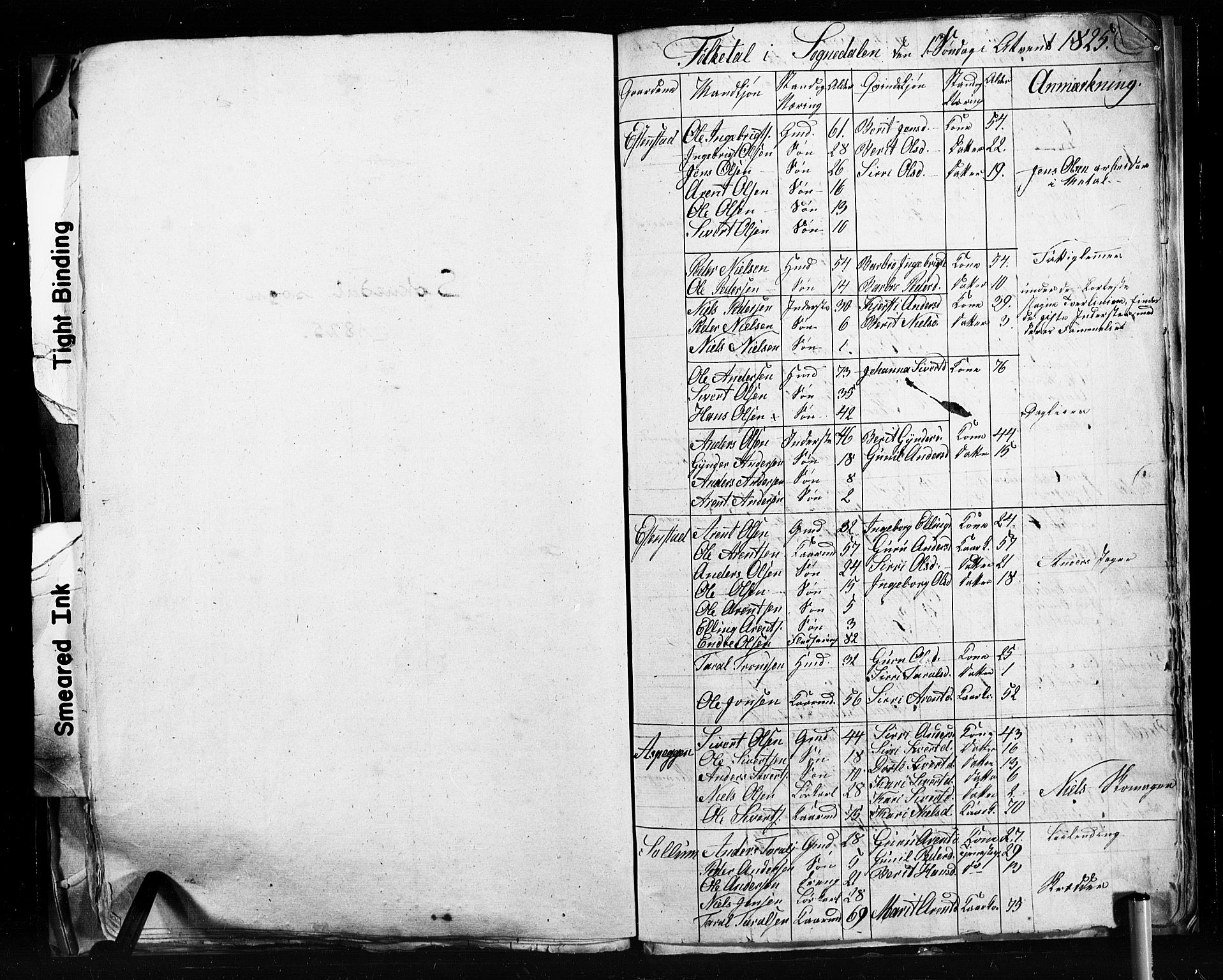 , 1825 Census for Støren parish, 1825, p. 115