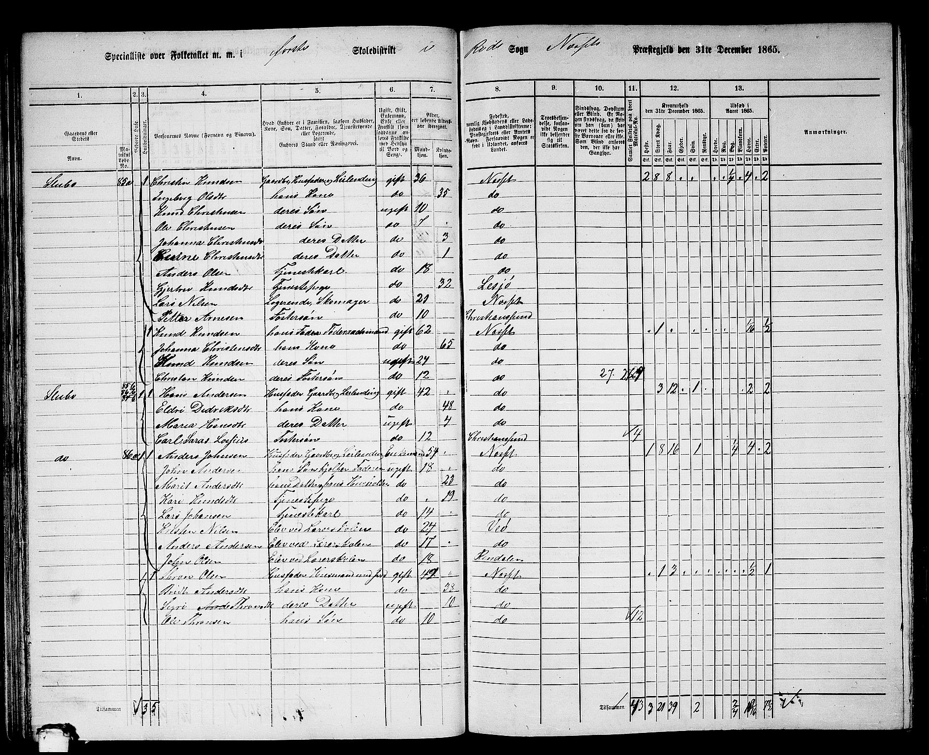 RA, 1865 census for Nesset, 1865, p. 63