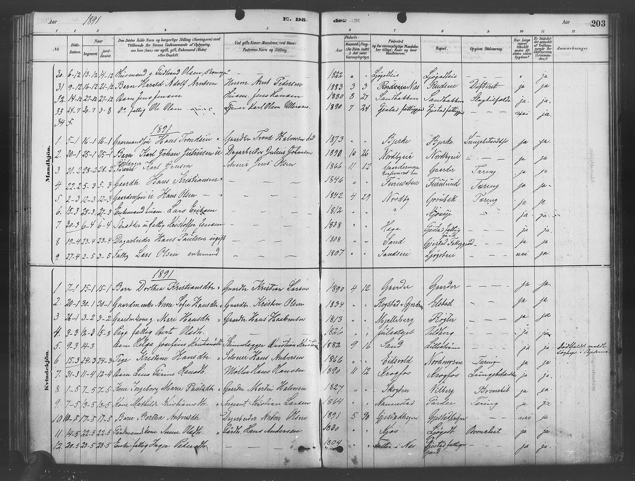 Ullensaker prestekontor Kirkebøker, SAO/A-10236a/F/Fb/L0001: Parish register (official) no. II 1, 1878-1893, p. 203