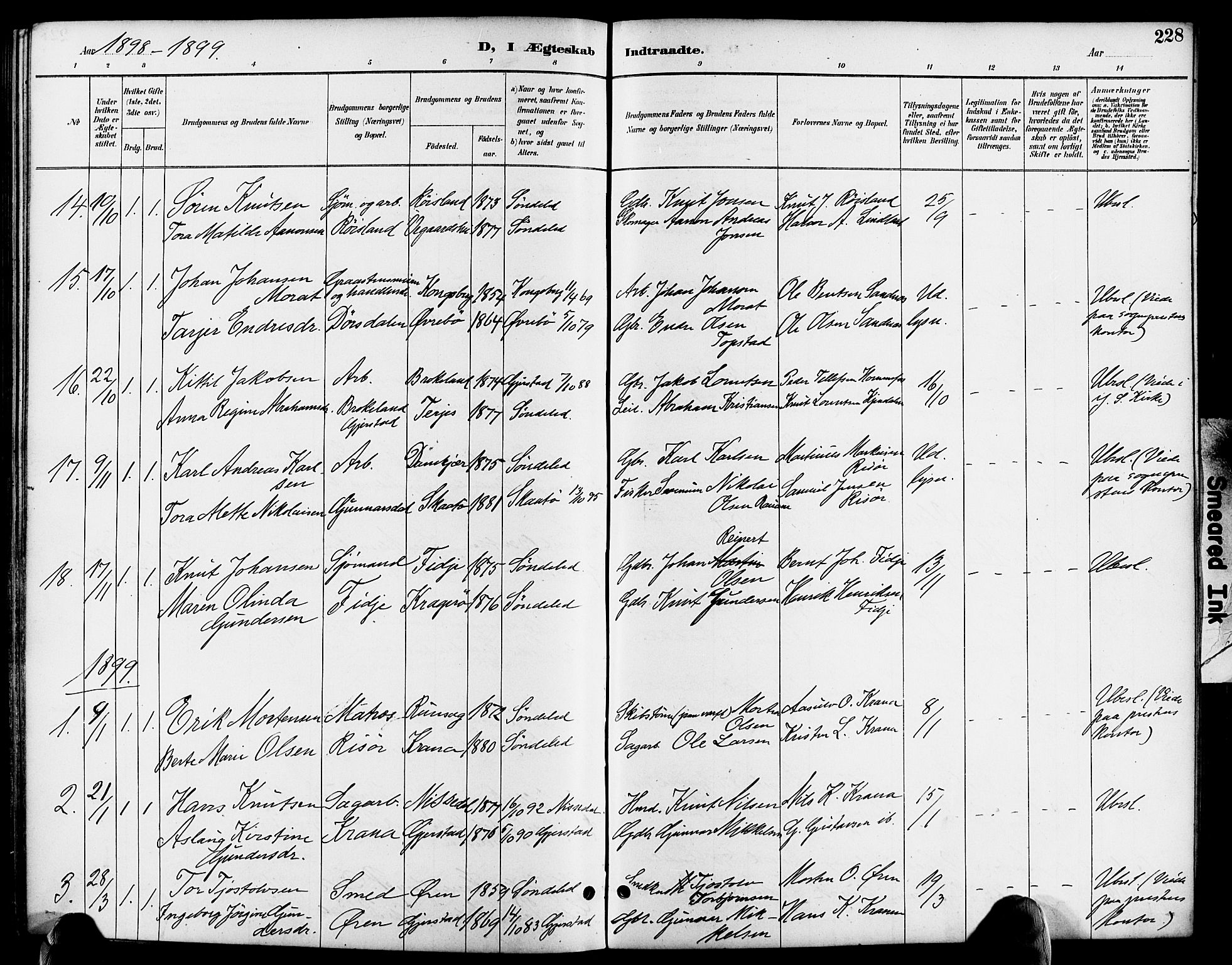 Søndeled sokneprestkontor, AV/SAK-1111-0038/F/Fa/L0005: Parish register (official) no. A 5, 1889-1899, p. 228