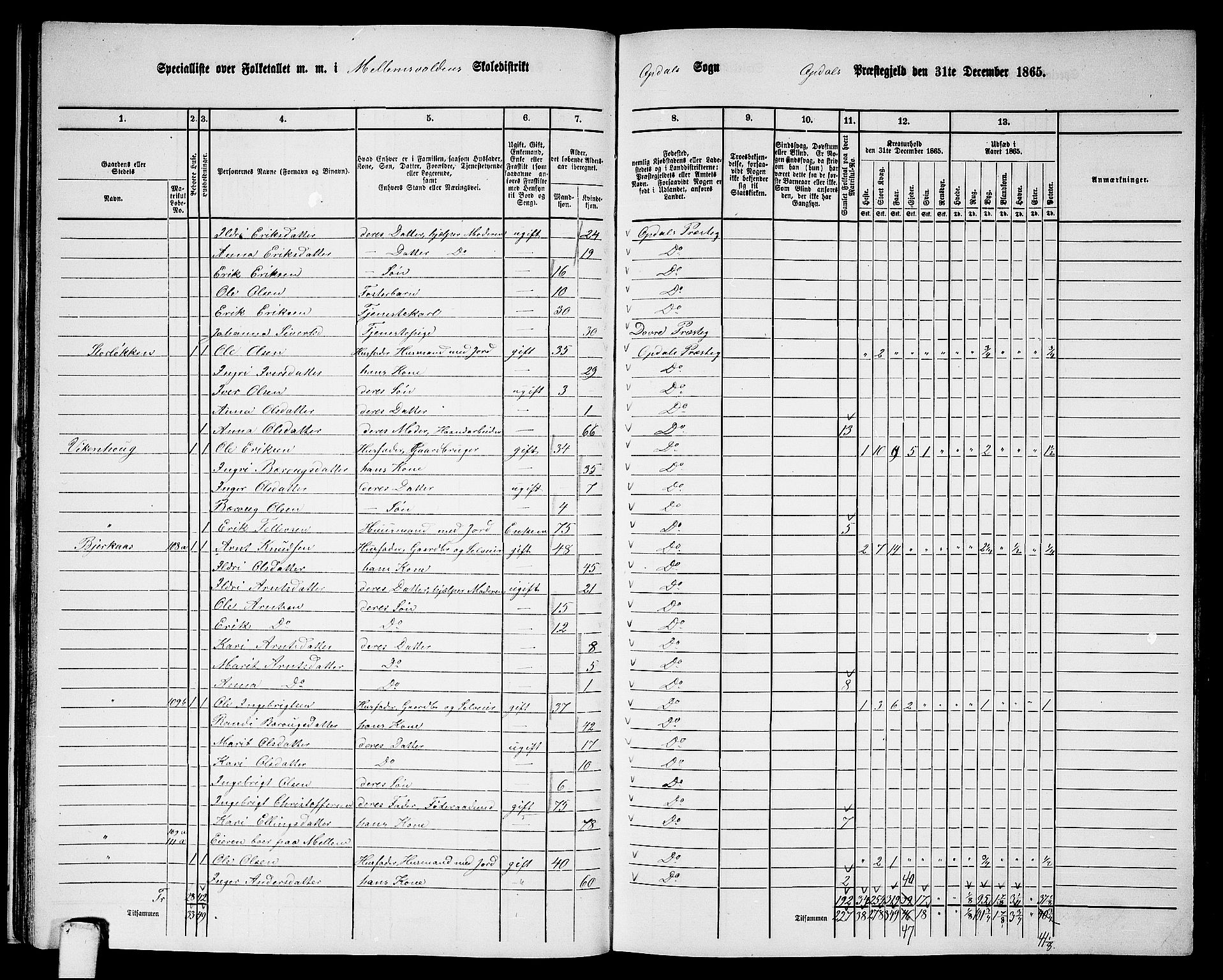 RA, 1865 census for Oppdal, 1865, p. 35