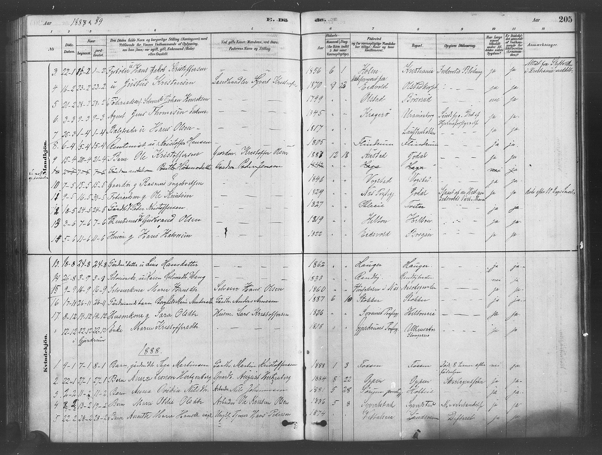 Ullensaker prestekontor Kirkebøker, SAO/A-10236a/F/Fa/L0019: Parish register (official) no. I 19, 1878-1891, p. 205