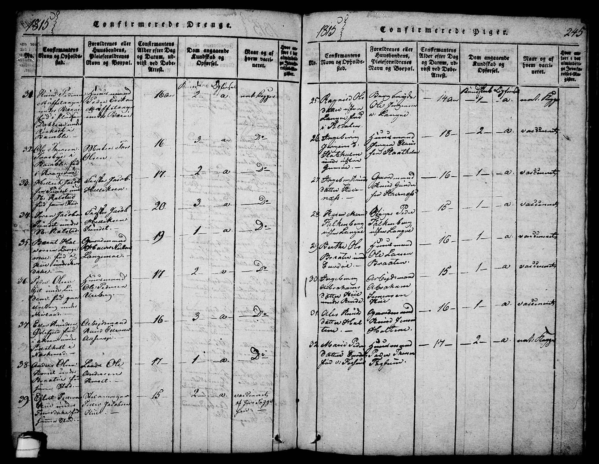 Sannidal kirkebøker, AV/SAKO-A-296/F/Fa/L0004: Parish register (official) no. 4, 1814-1829, p. 245