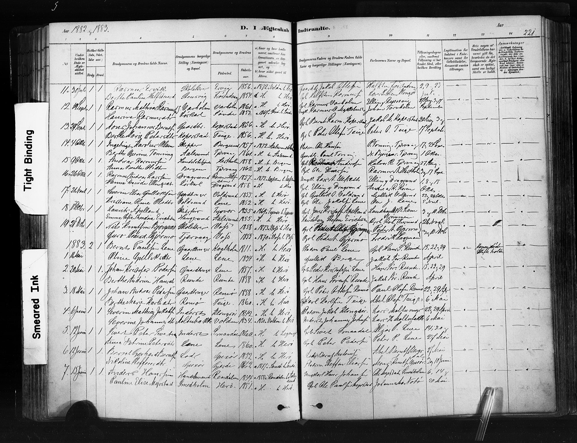 Ministerialprotokoller, klokkerbøker og fødselsregistre - Møre og Romsdal, AV/SAT-A-1454/507/L0073: Parish register (official) no. 507A08, 1878-1904, p. 221