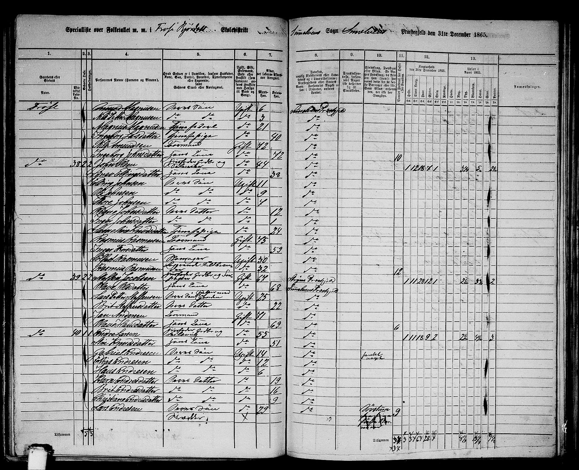 RA, 1865 census for Sunnylven, 1865, p. 35