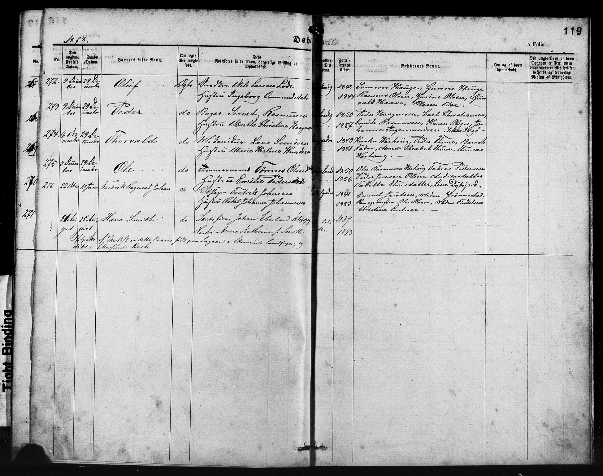 St. Petri sokneprestkontor, AV/SAST-A-101813/001/30/30BA/L0014: Parish register (official) no. A 14, 1876-1879, p. 119