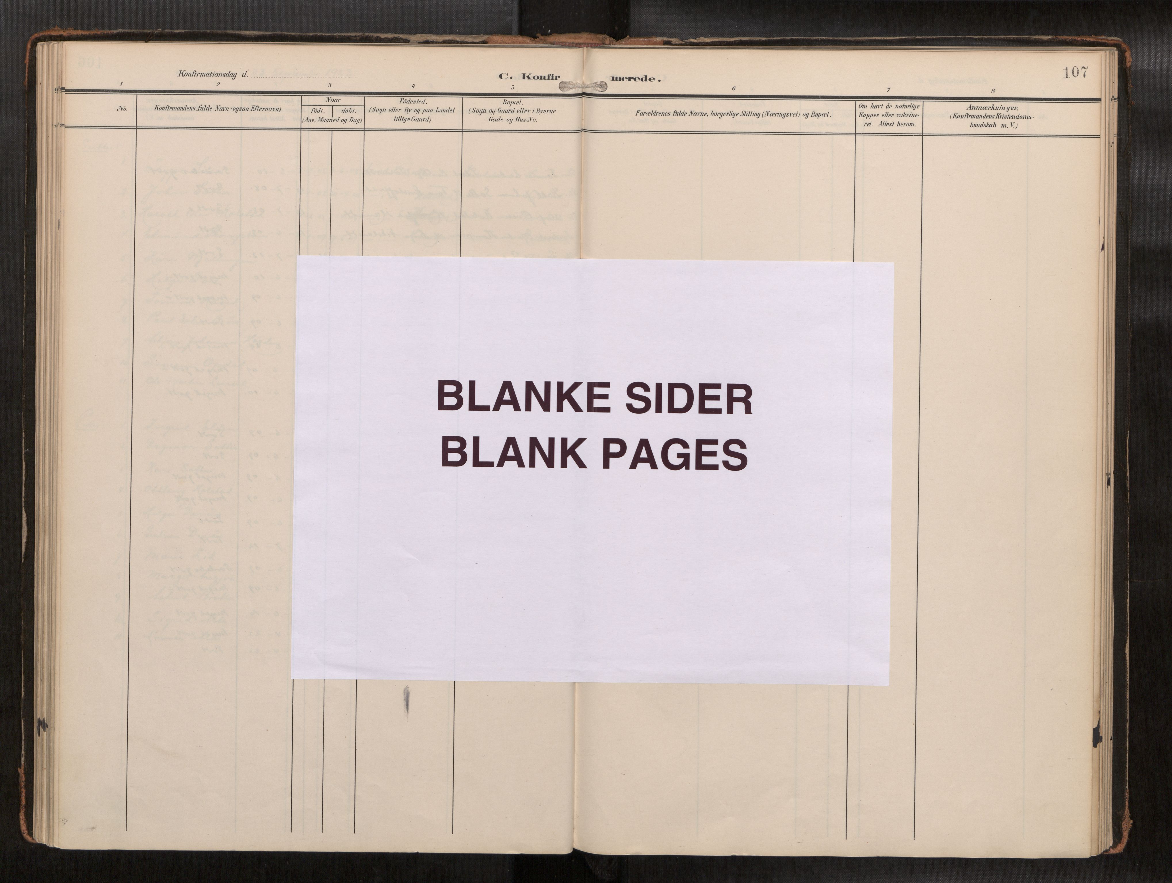 Ministerialprotokoller, klokkerbøker og fødselsregistre - Nord-Trøndelag, AV/SAT-A-1458/742/L0409a: Parish register (official) no. 742A03, 1906-1924, p. 107