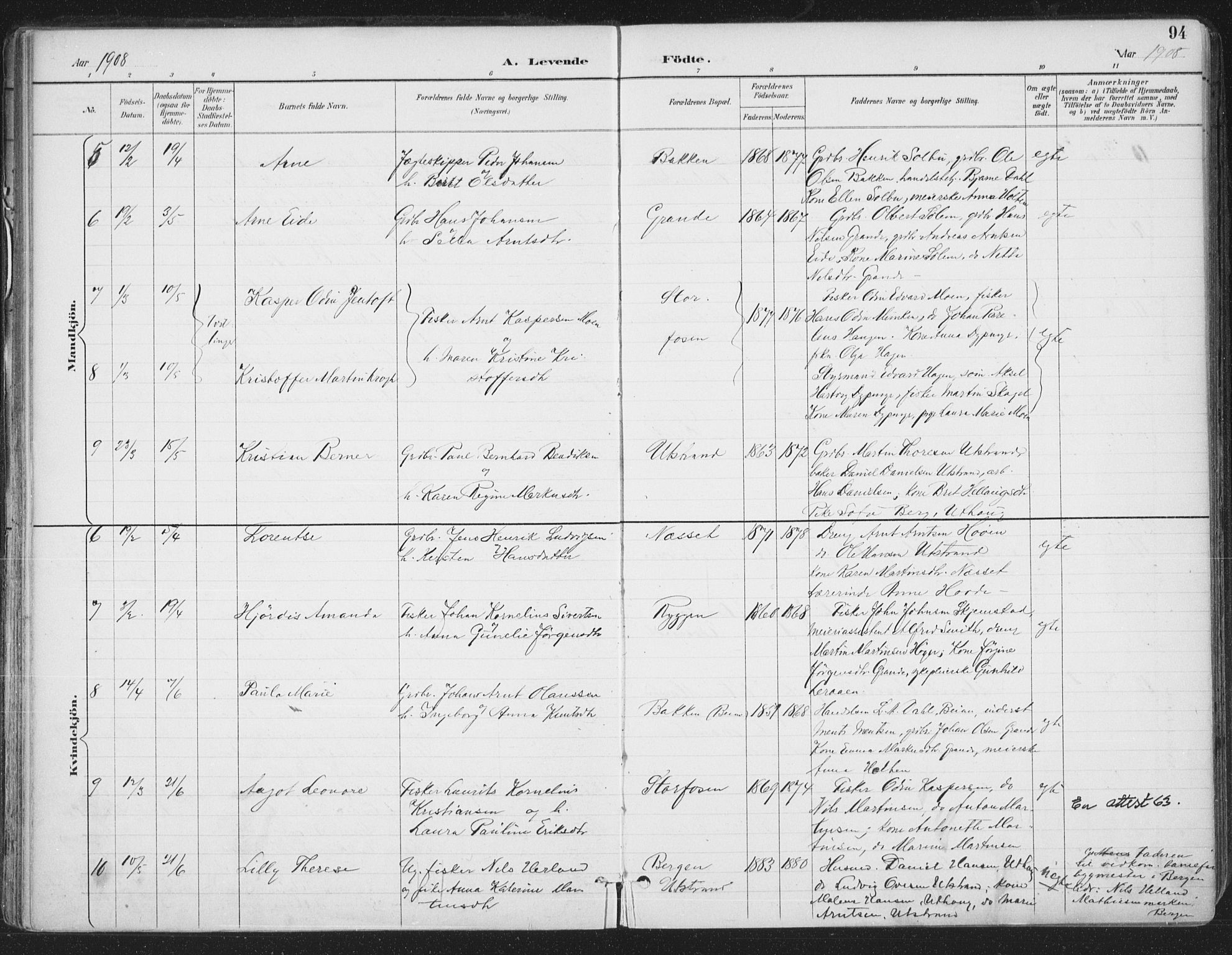 Ministerialprotokoller, klokkerbøker og fødselsregistre - Sør-Trøndelag, SAT/A-1456/659/L0743: Parish register (official) no. 659A13, 1893-1910, p. 94