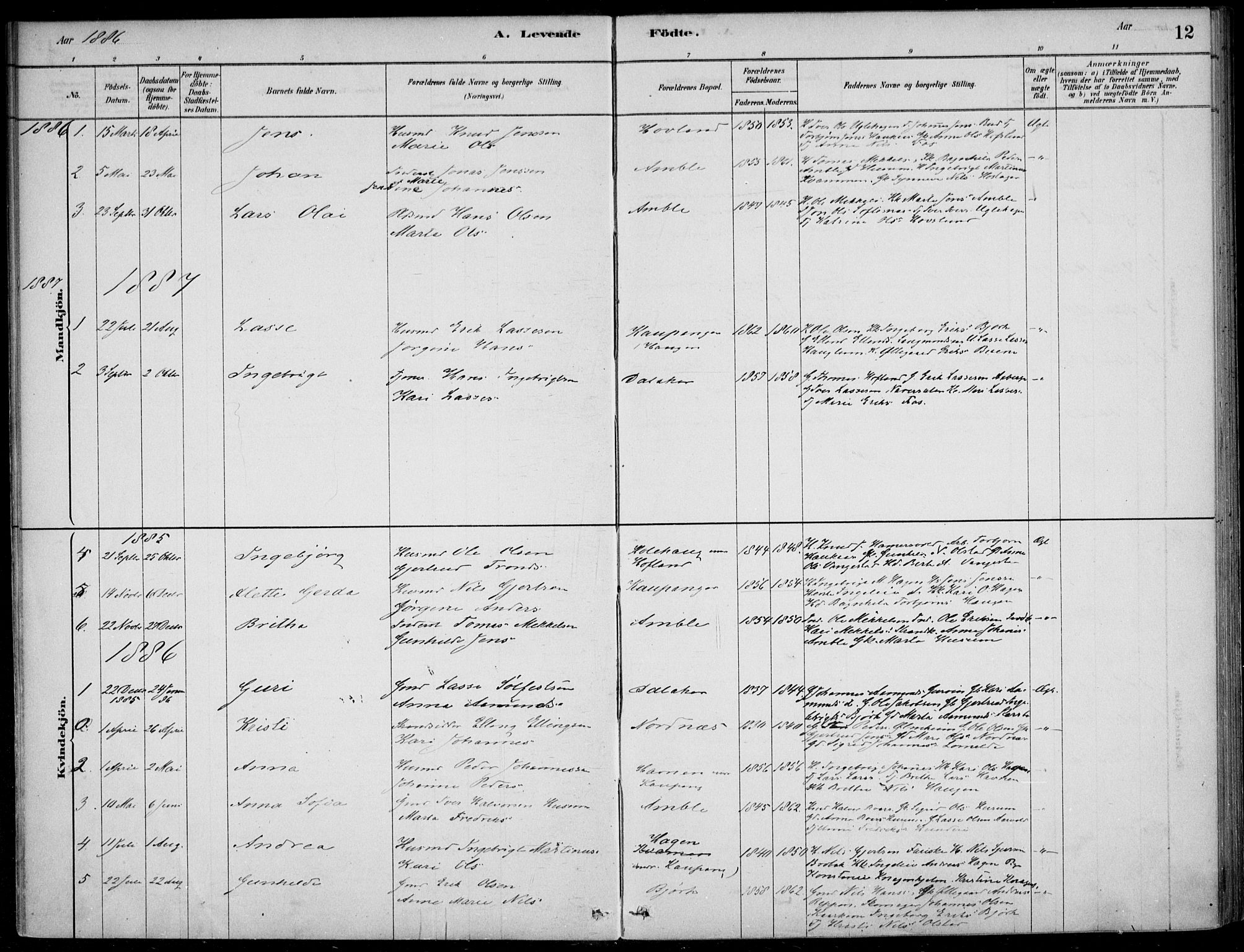 Sogndal sokneprestembete, AV/SAB-A-81301/H/Haa/Haad/L0001: Parish register (official) no. D  1, 1878-1907, p. 12