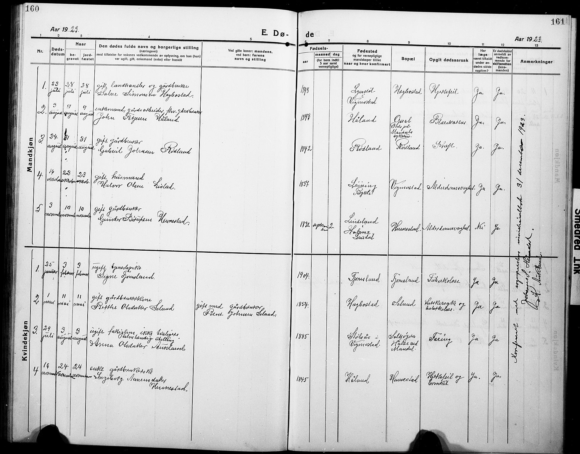 Nord-Audnedal sokneprestkontor, SAK/1111-0032/F/Fb/Fbb/L0005: Parish register (copy) no. B 5, 1918-1929, p. 160-161