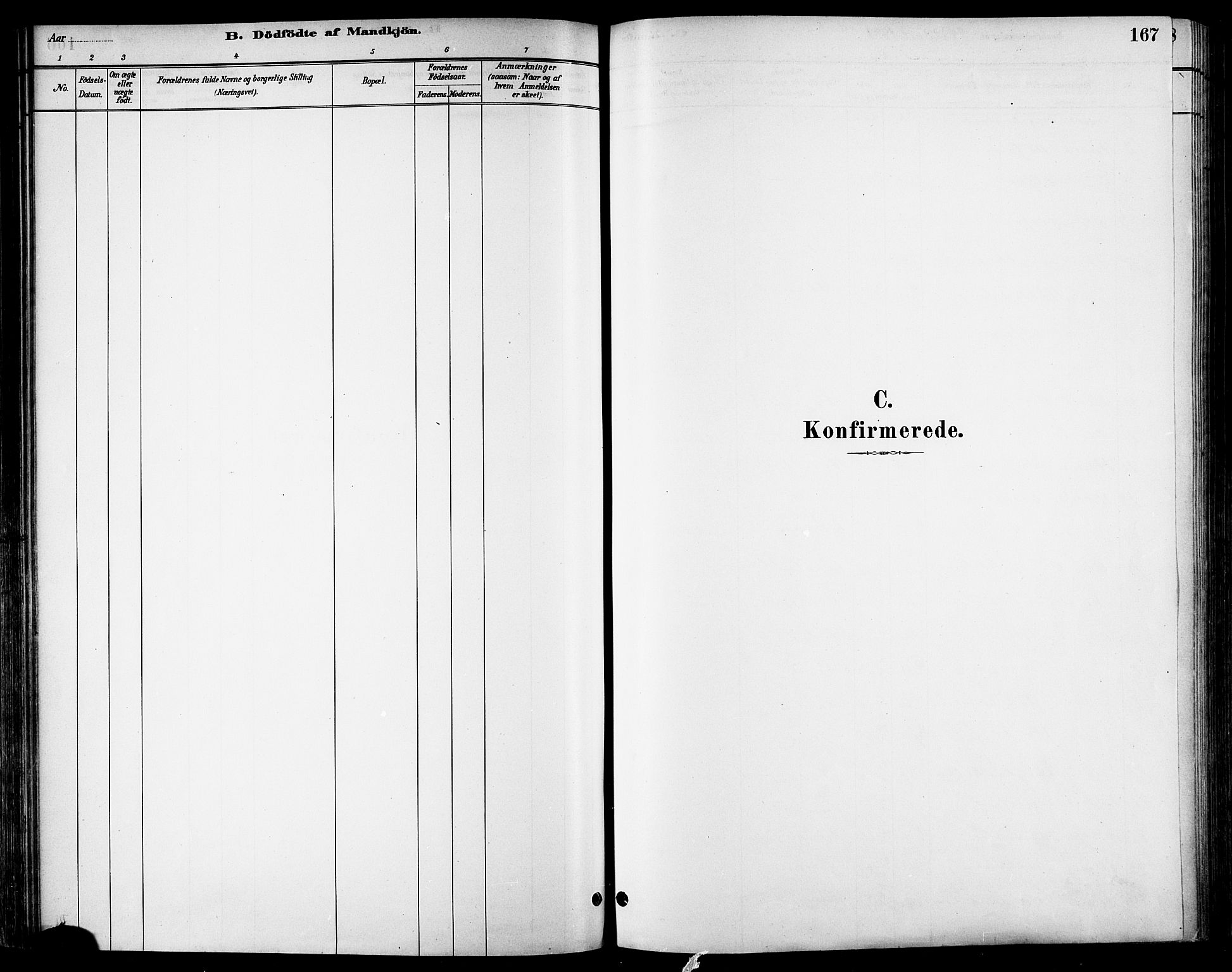 Ministerialprotokoller, klokkerbøker og fødselsregistre - Sør-Trøndelag, SAT/A-1456/678/L0901: Parish register (official) no. 678A10, 1881-1894, p. 167