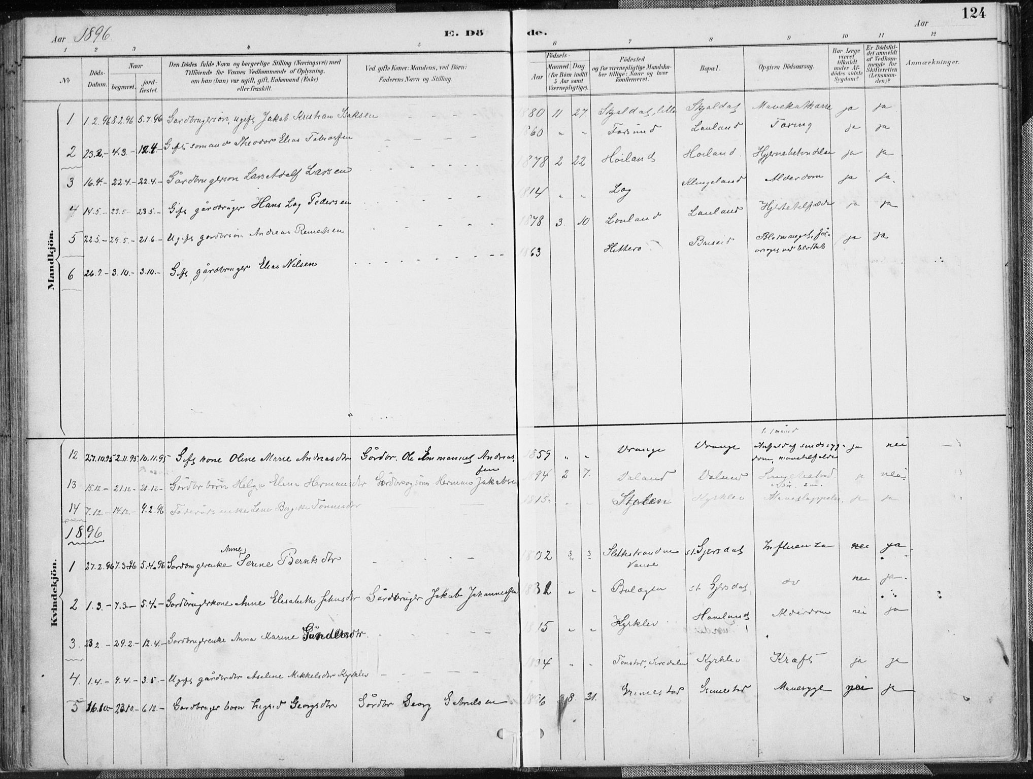 Herad sokneprestkontor, AV/SAK-1111-0018/F/Fa/Faa/L0006: Parish register (official) no. A 6, 1887-1907, p. 124