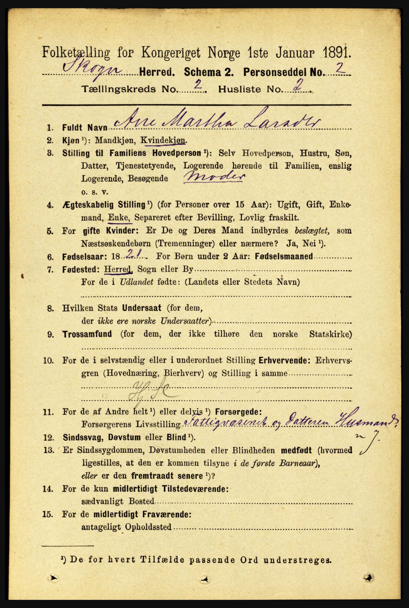 RA, 1891 census for 1719 Skogn, 1891, p. 982