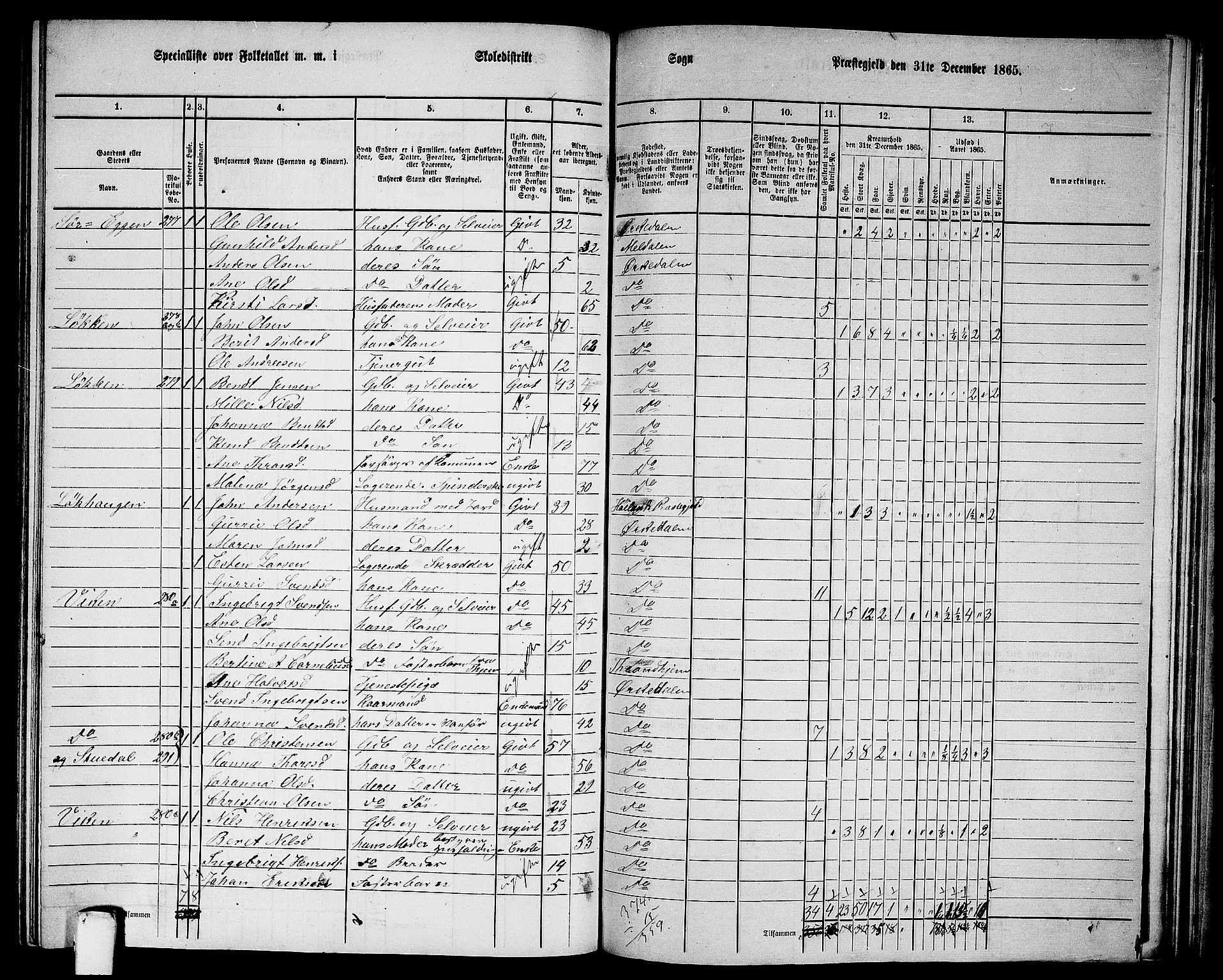 RA, 1865 census for Orkdal, 1865, p. 207