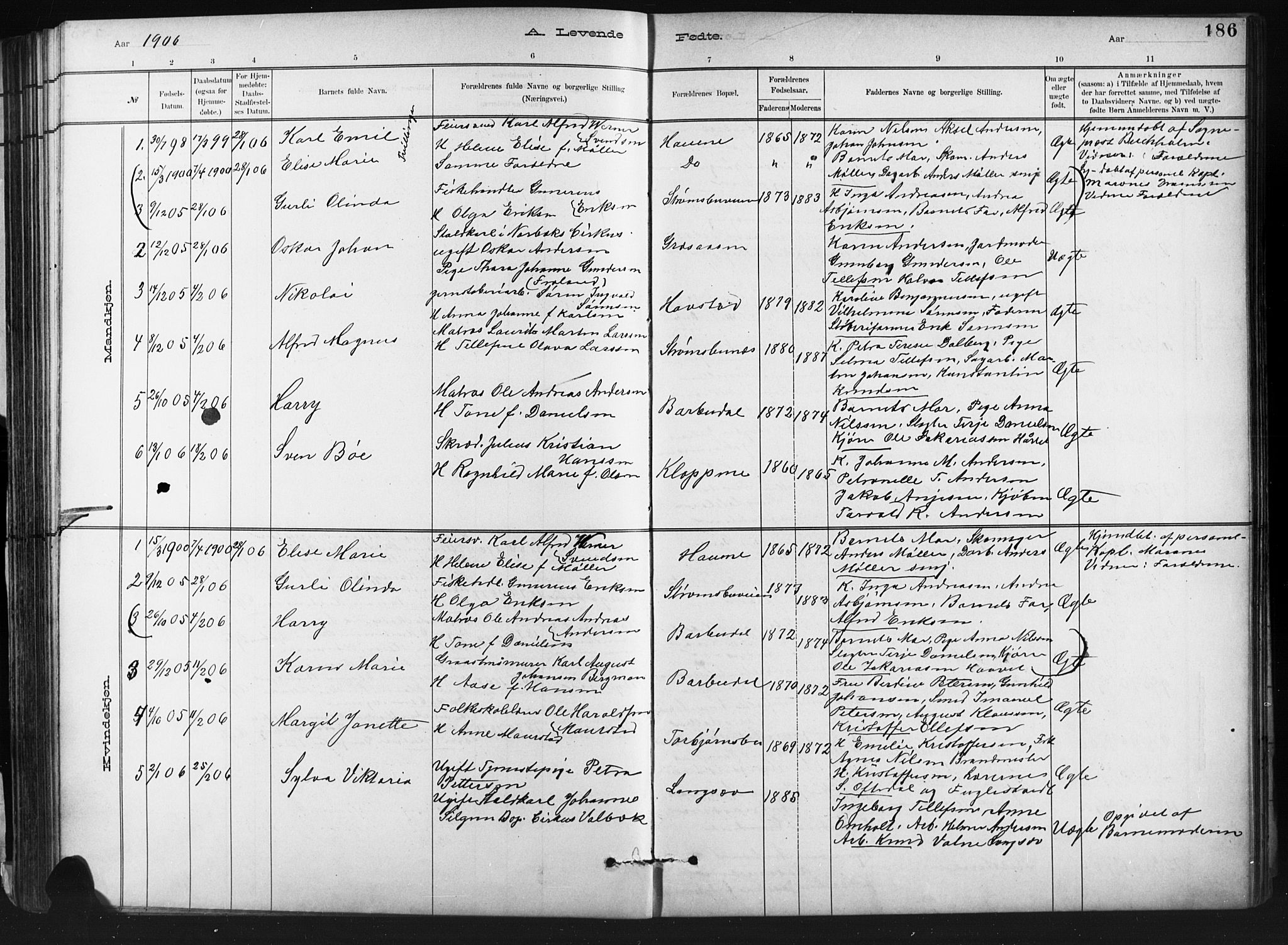Barbu sokneprestkontor, SAK/1111-0003/F/Fb/L0002: Parish register (copy) no. B 2, 1890-1922, p. 186
