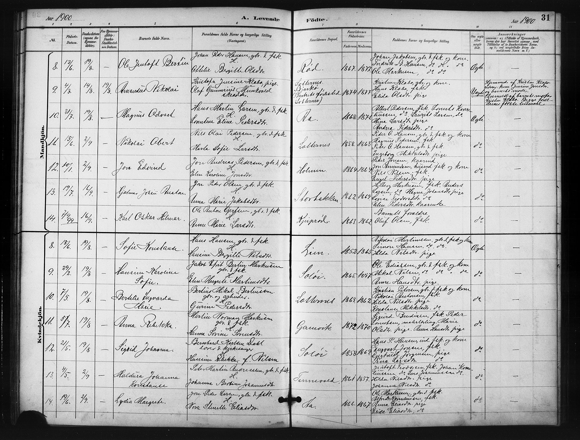 Salangen sokneprestembete, SATØ/S-1324/H/Ha/L0001klokker: Parish register (copy) no. 1, 1893-1910, p. 31