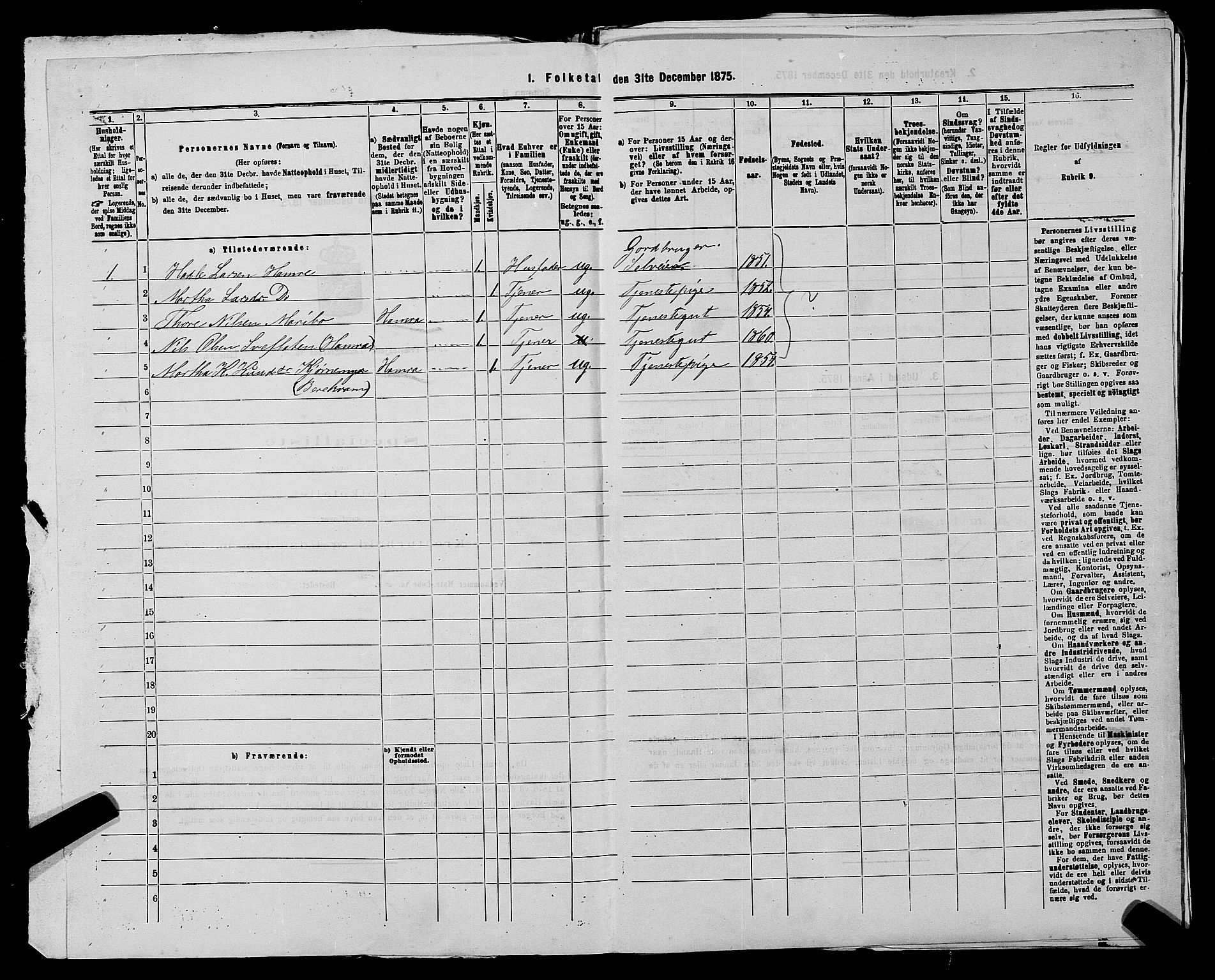 SAST, 1875 census for 1138P Jelsa, 1875, p. 117