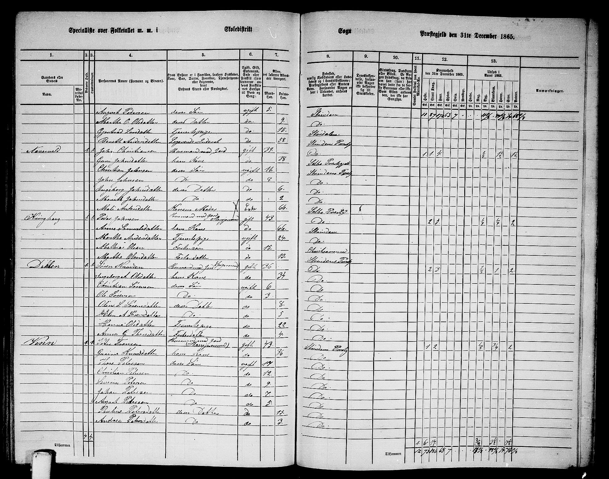 RA, 1865 census for Strinda, 1865, p. 258