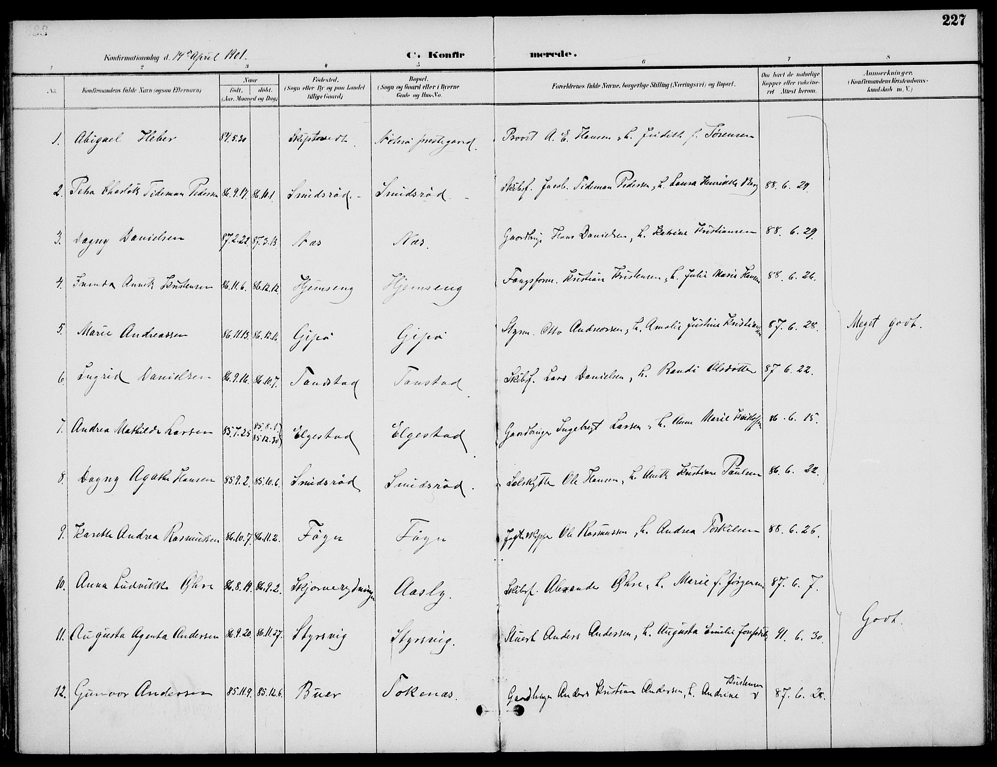 Nøtterøy kirkebøker, AV/SAKO-A-354/F/Fa/L0009: Parish register (official) no. I 9, 1894-1907, p. 227