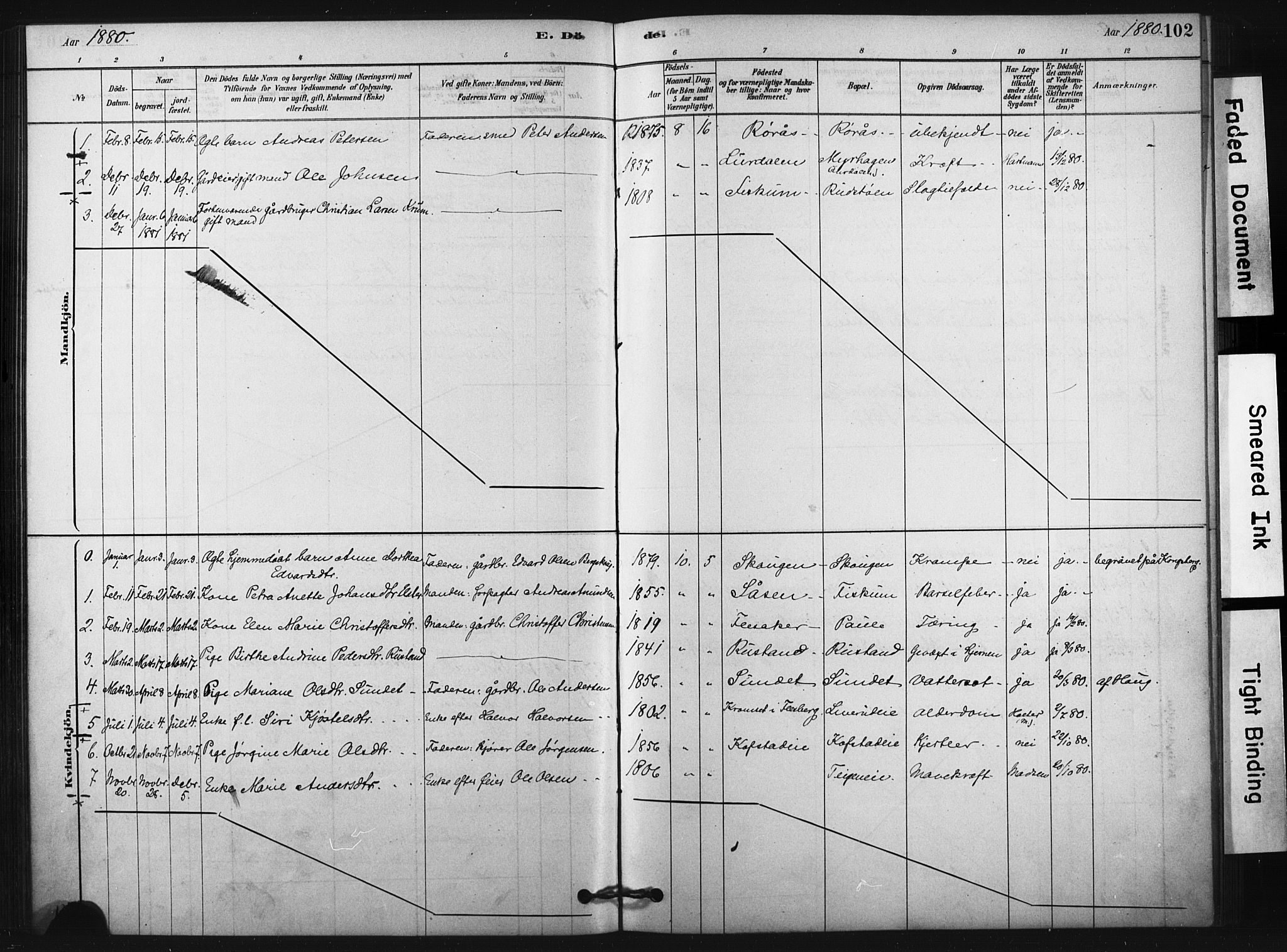 Fiskum kirkebøker, AV/SAKO-A-15/F/Fa/L0002: Parish register (official) no. 2, 1878-1890, p. 102