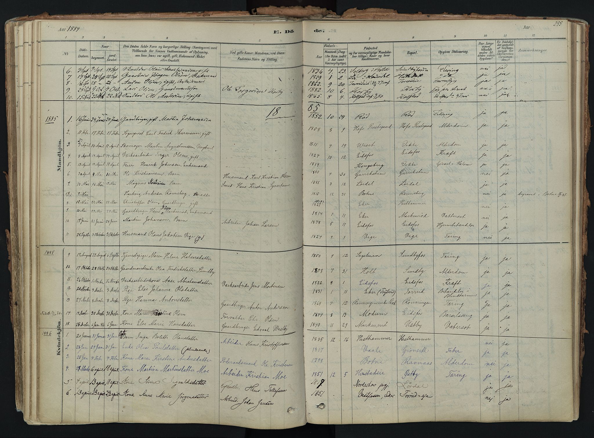 Hof kirkebøker, AV/SAKO-A-64/F/Fa/L0007: Parish register (official) no. I 7, 1878-1940, p. 255