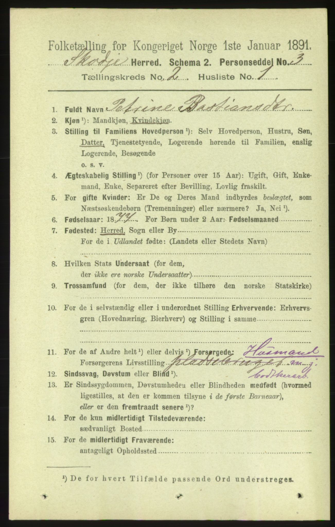 RA, 1891 census for 1529 Skodje, 1891, p. 277