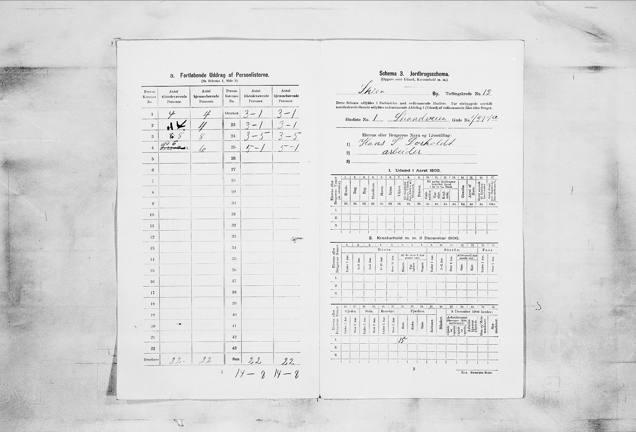 SAKO, 1900 census for Skien, 1900, p. 2103