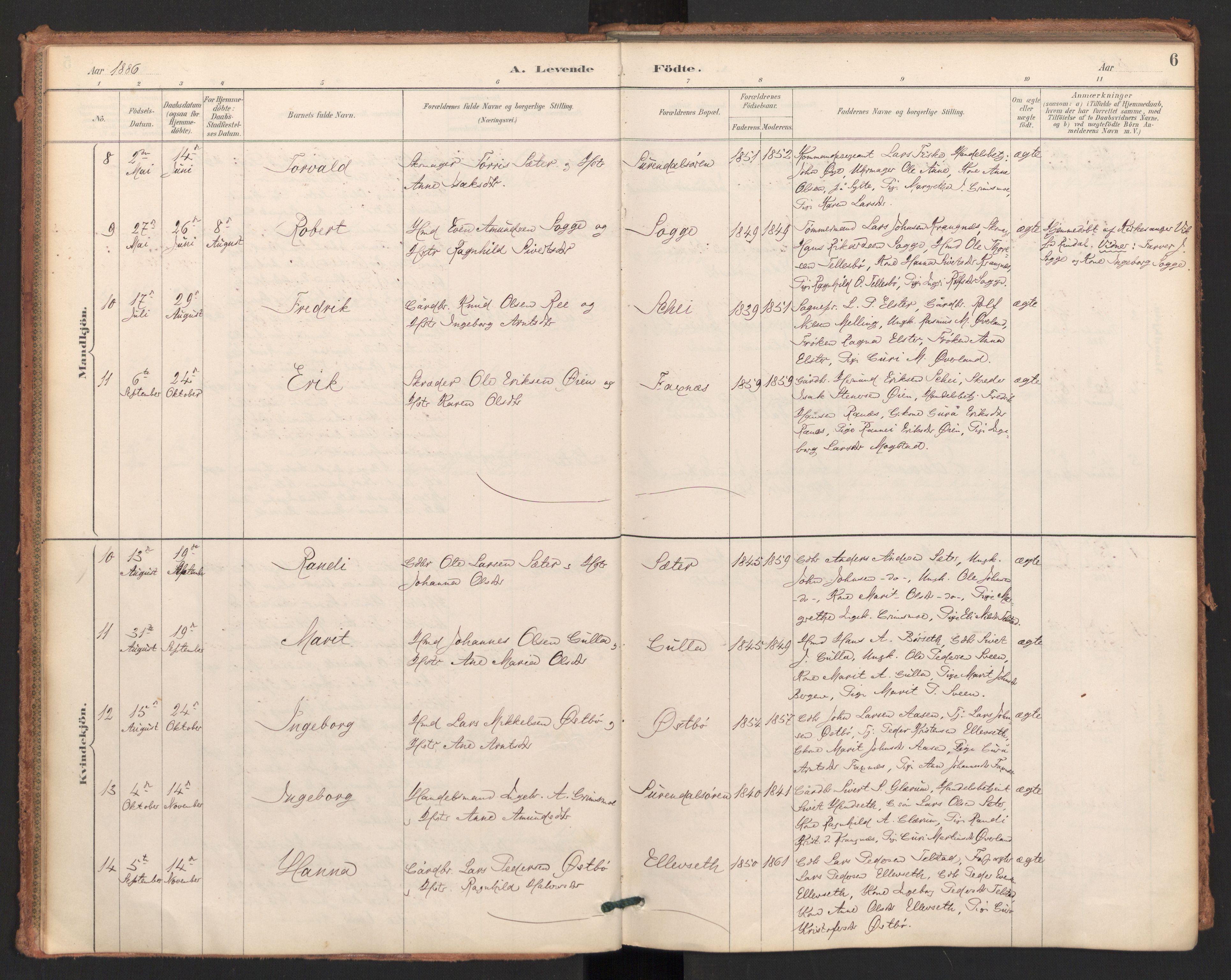 Ministerialprotokoller, klokkerbøker og fødselsregistre - Møre og Romsdal, AV/SAT-A-1454/596/L1056: Parish register (official) no. 596A01, 1885-1900, p. 6