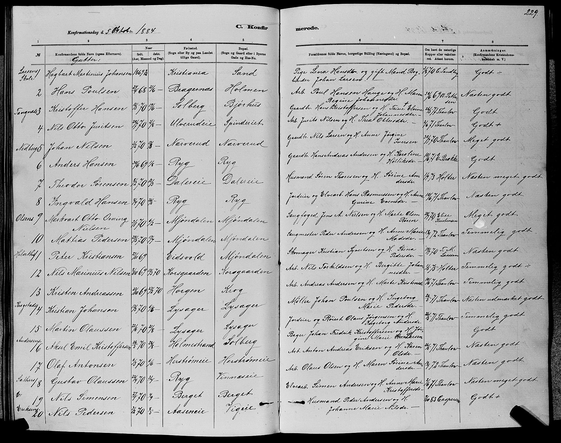 Nedre Eiker kirkebøker, AV/SAKO-A-612/G/Ga/L0002: Parish register (copy) no. 2, 1880-1896, p. 229