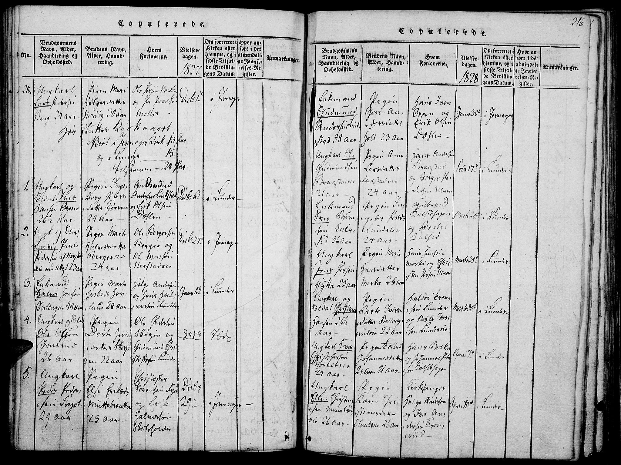 Jevnaker prestekontor, SAH/PREST-116/H/Ha/Haa/L0005: Parish register (official) no. 5, 1815-1837, p. 216