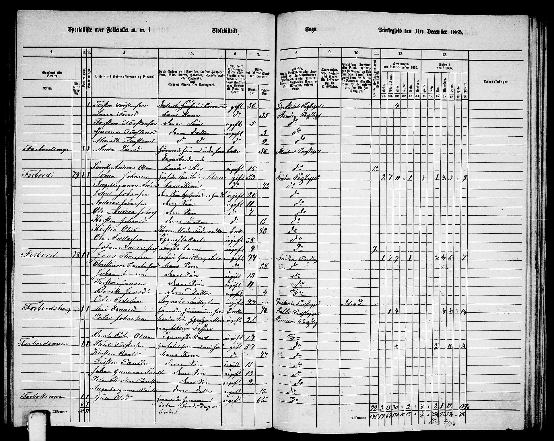 RA, 1865 census for Strinda, 1865, p. 216