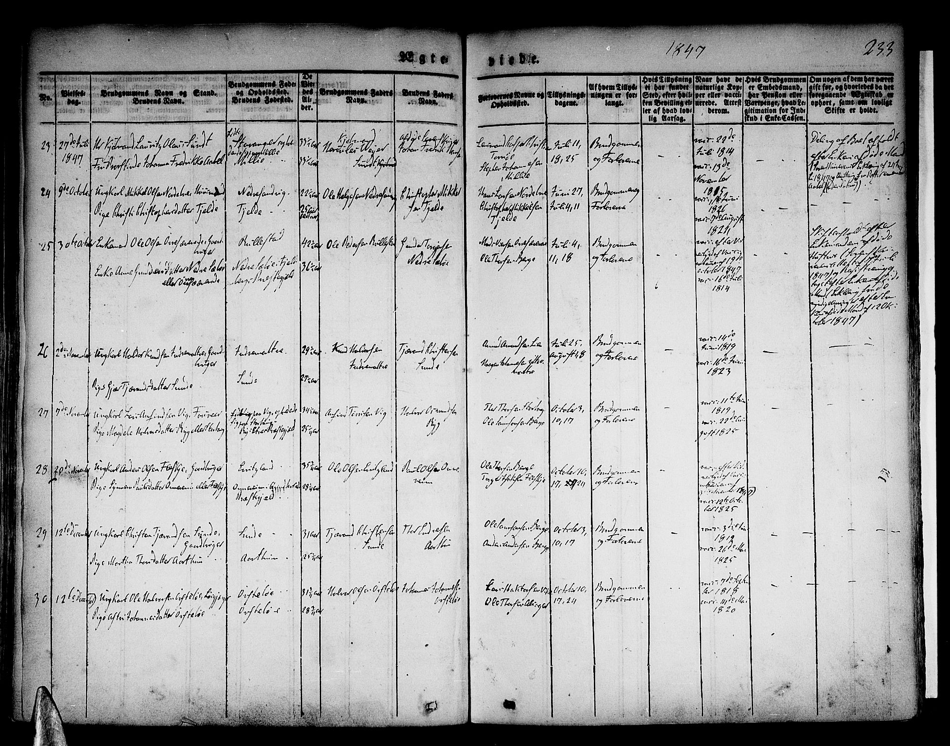 Skånevik sokneprestembete, AV/SAB-A-77801/H/Haa: Parish register (official) no. A 4, 1828-1848, p. 233