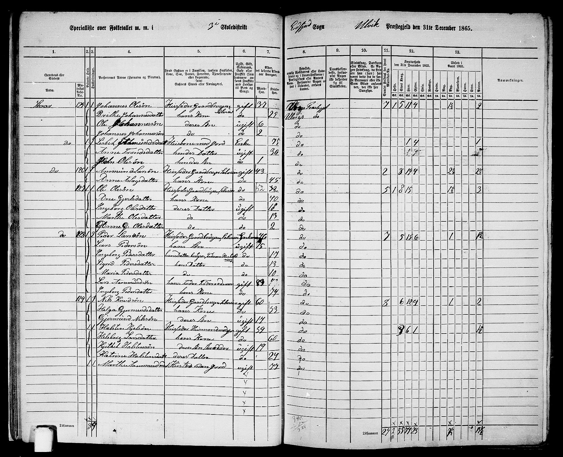 RA, 1865 census for Ulvik, 1865, p. 21