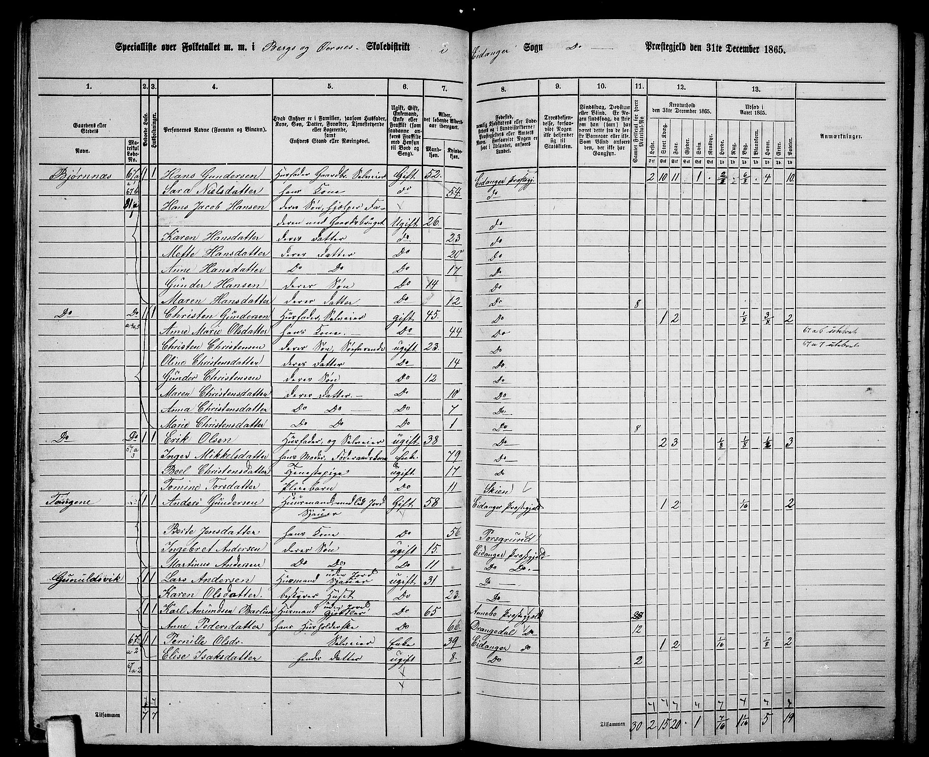 RA, 1865 census for Eidanger, 1865, p. 44