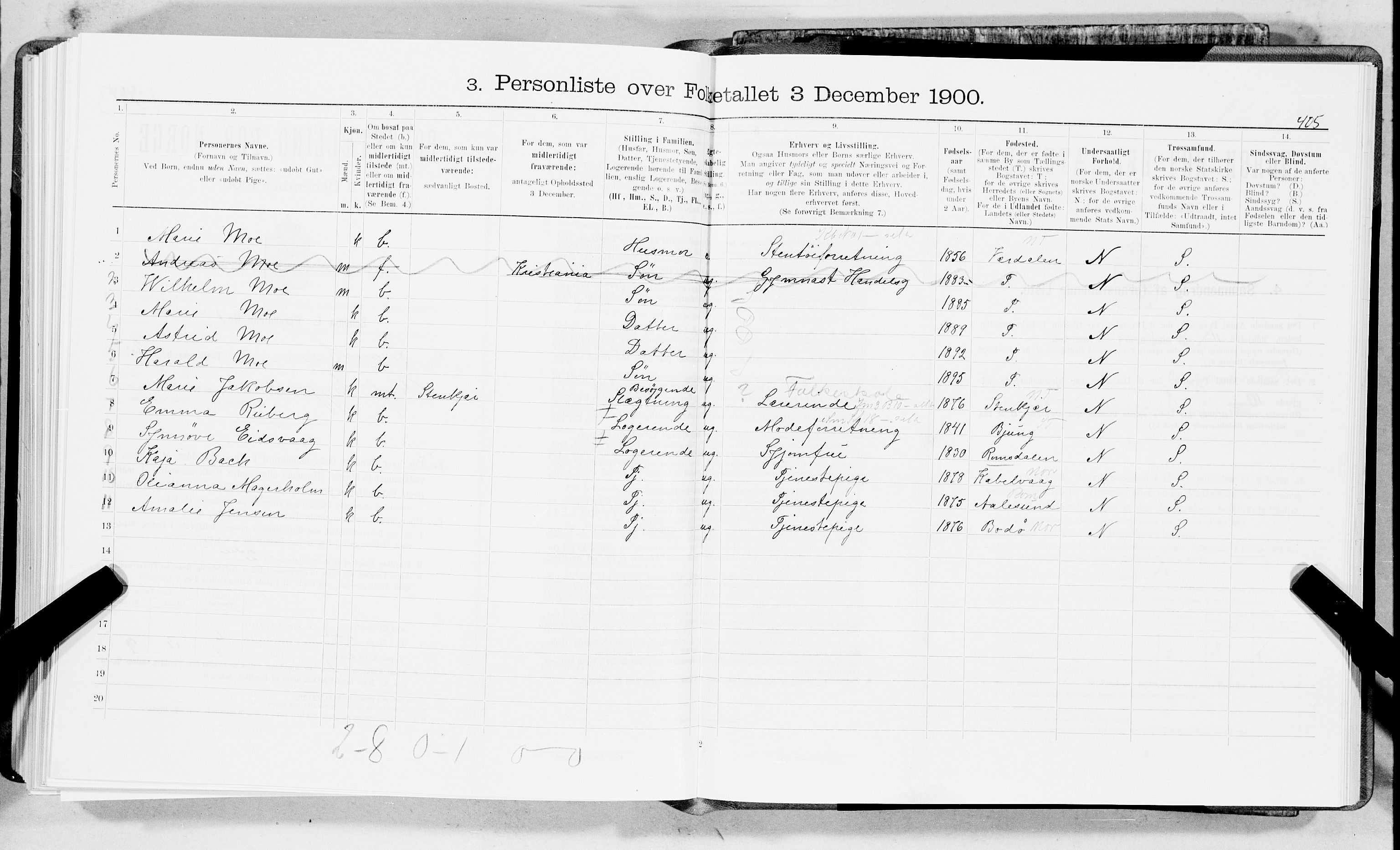 SAT, 1900 census for Trondheim, 1900, p. 3891