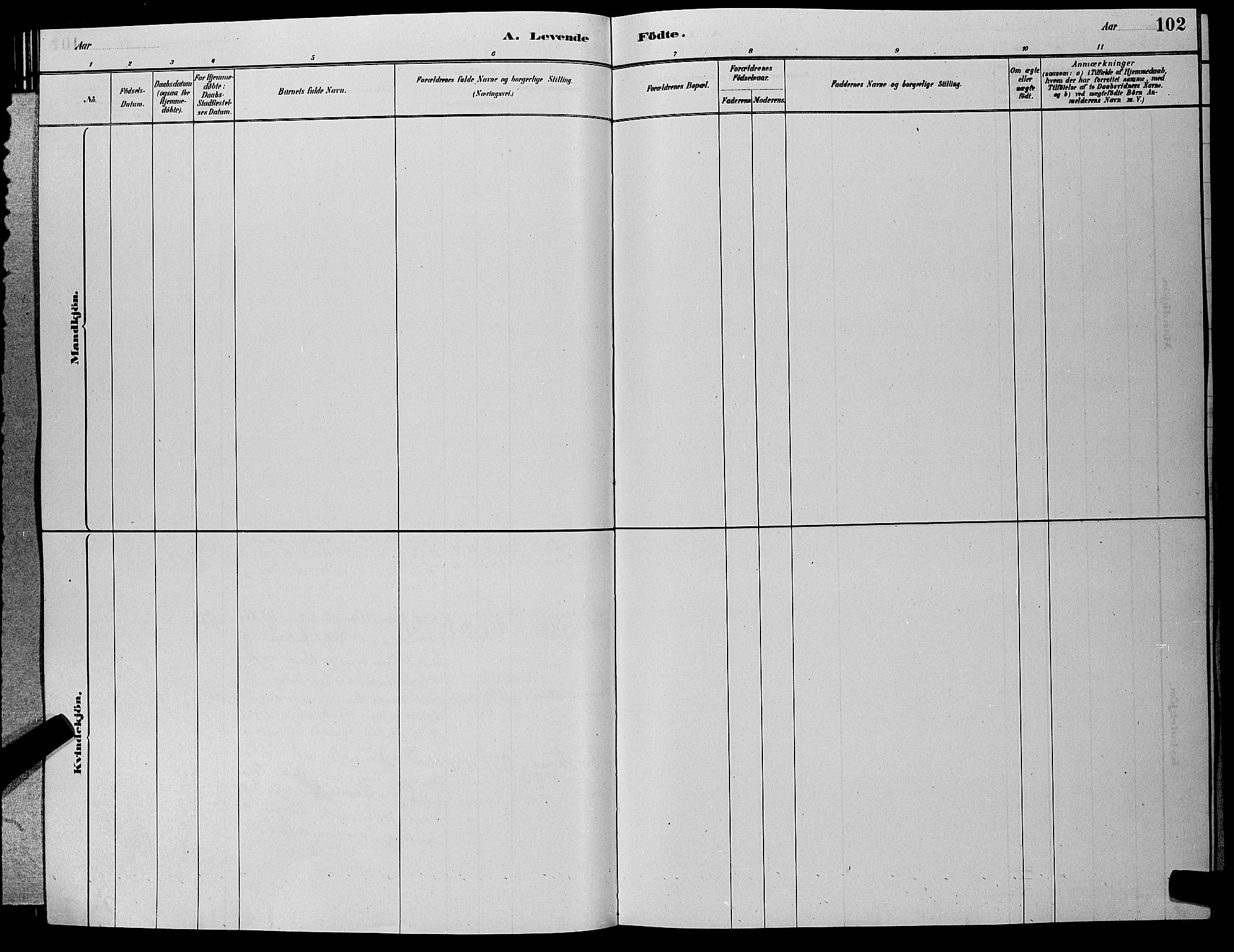 Hole kirkebøker, SAKO/A-228/G/Ga/L0003: Parish register (copy) no. I 3, 1879-1904, p. 102
