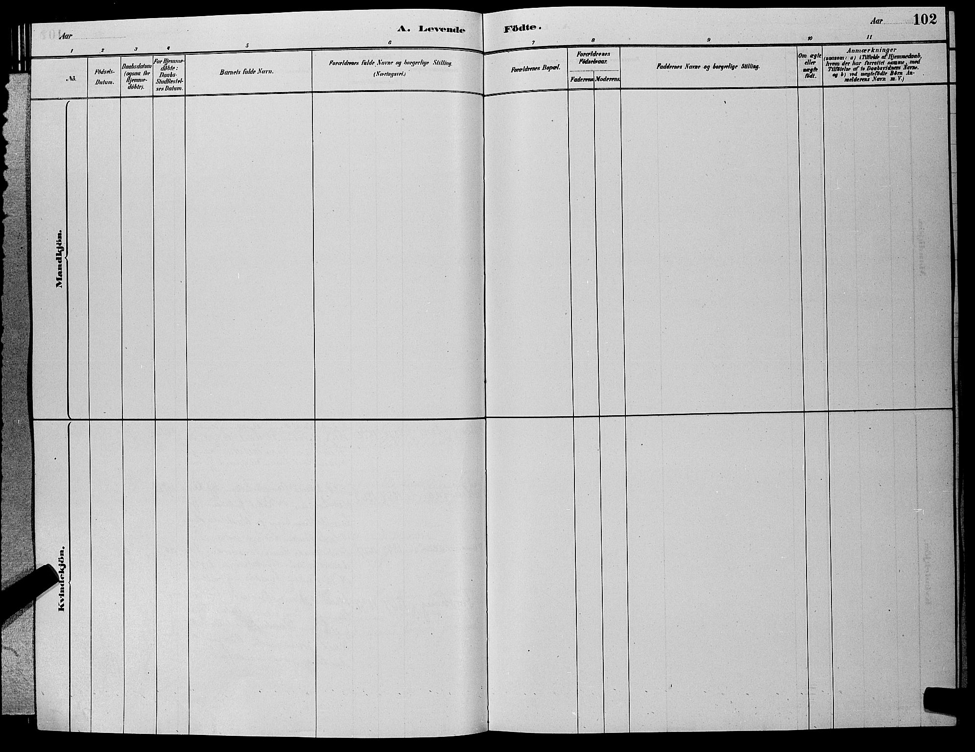 Hole kirkebøker, AV/SAKO-A-228/G/Ga/L0003: Parish register (copy) no. I 3, 1879-1904, p. 102