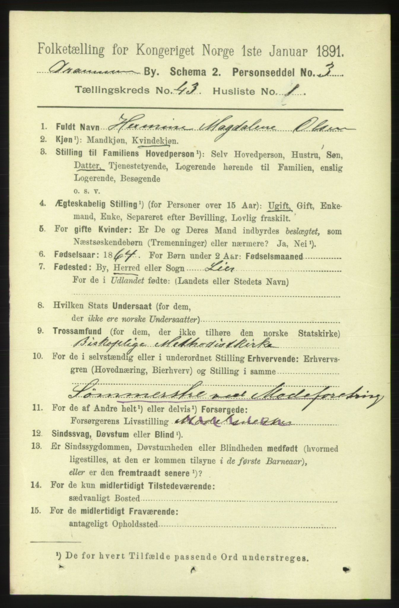 RA, 1891 census for 0602 Drammen, 1891, p. 25041