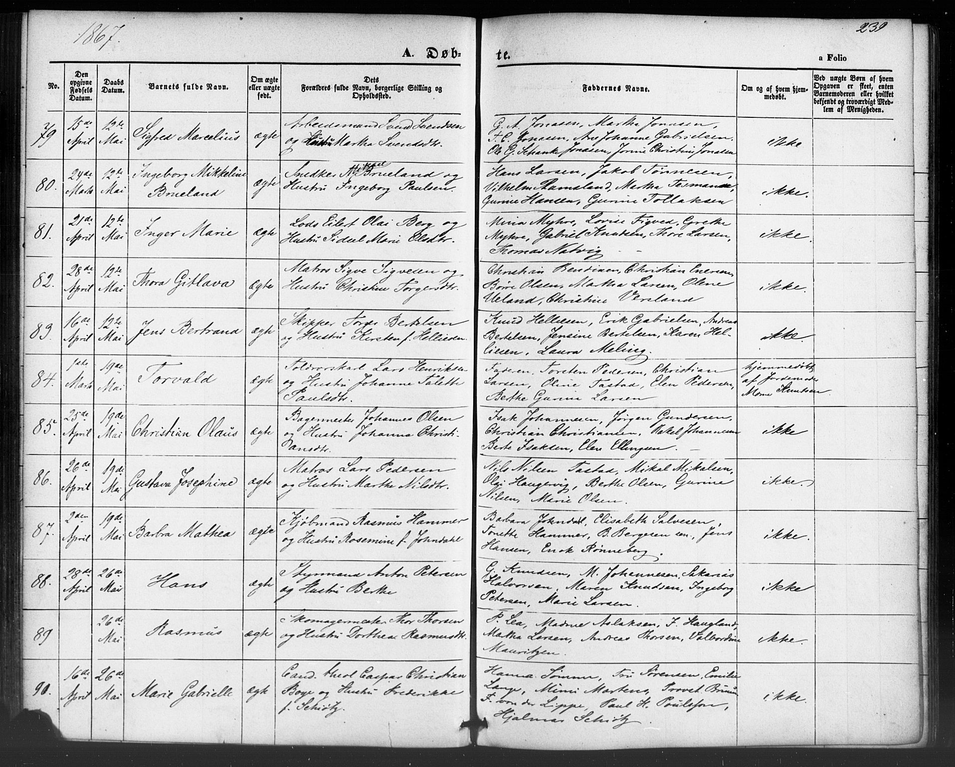Domkirken sokneprestkontor, SAST/A-101812/001/30/30BB/L0012: Parish register (copy) no. B 12, 1860-1871, p. 239