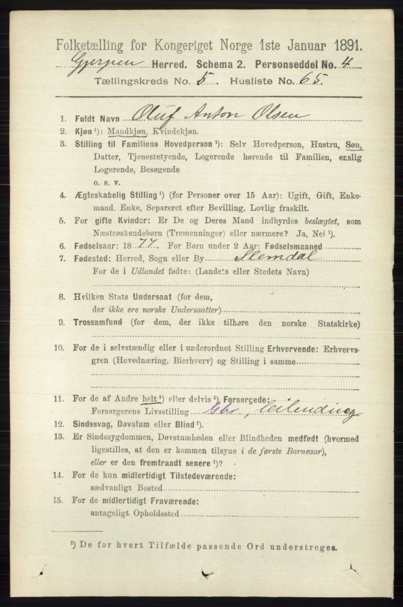 RA, 1891 census for 0812 Gjerpen, 1891, p. 2907