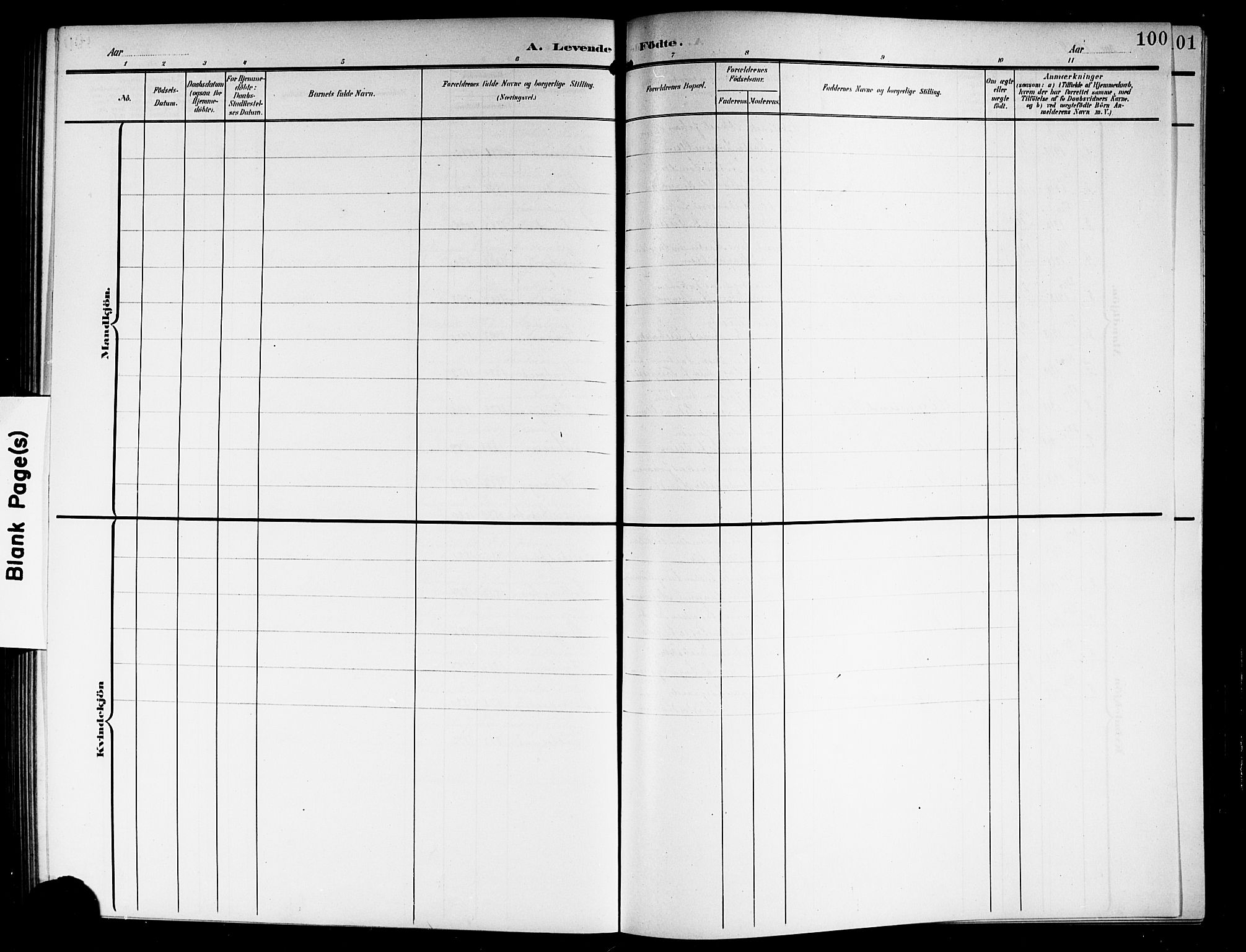 Askim prestekontor Kirkebøker, AV/SAO-A-10900/G/Ga/L0002: Parish register (copy) no. 2, 1903-1921, p. 100